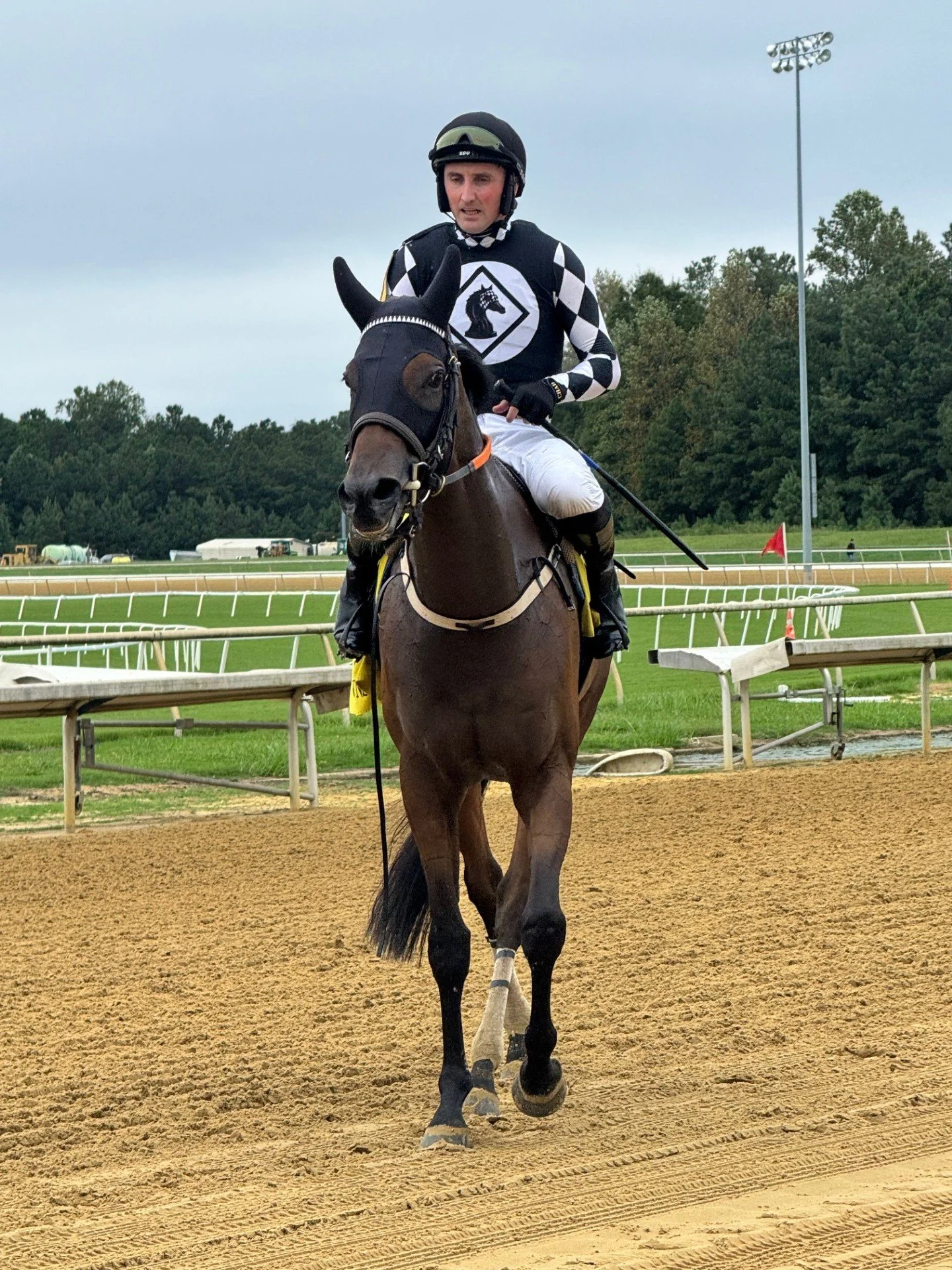 A jockey in racing gear riding a racehorse on a racetrack, with green grass and trees in the background under a cloudy sky.