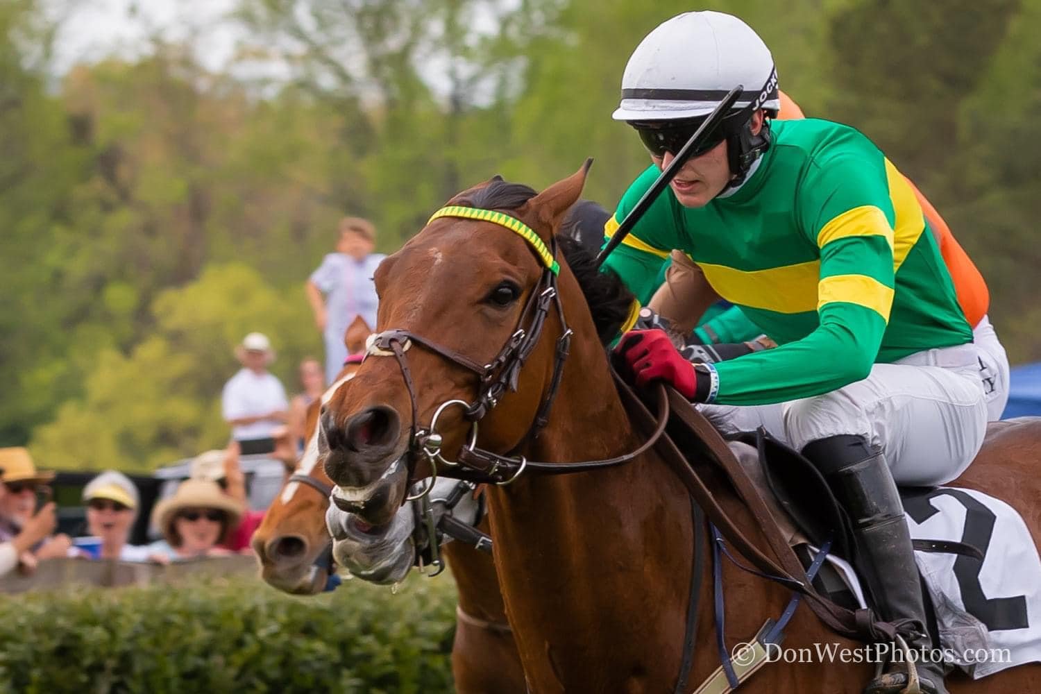 A jockey in green and yellow silks leaning forward on a racehorse in a horse race, with spectators in the background.