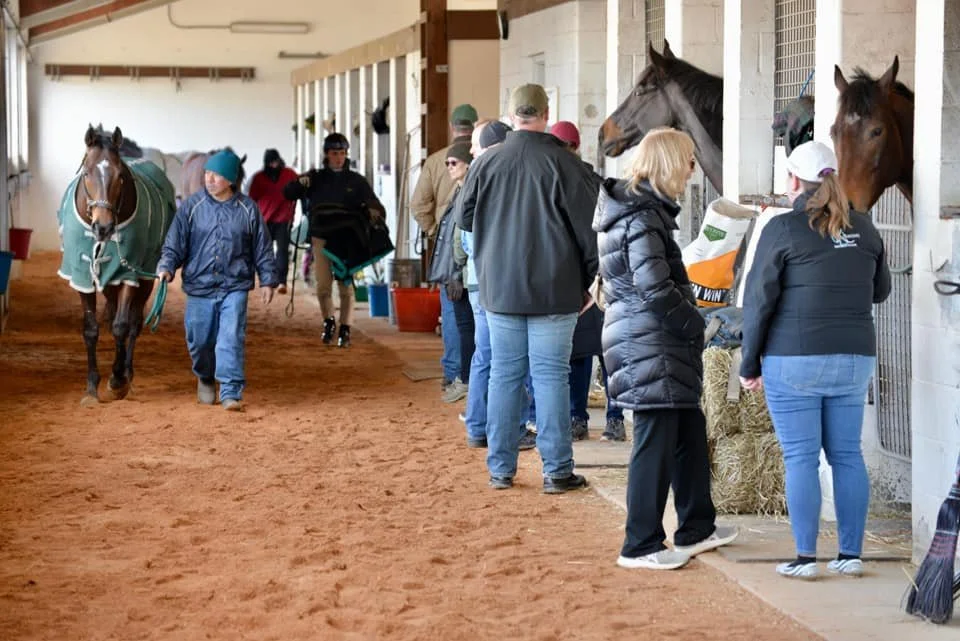 People at a horse stable, with horses in stalls and individuals observing and interacting with the animals.