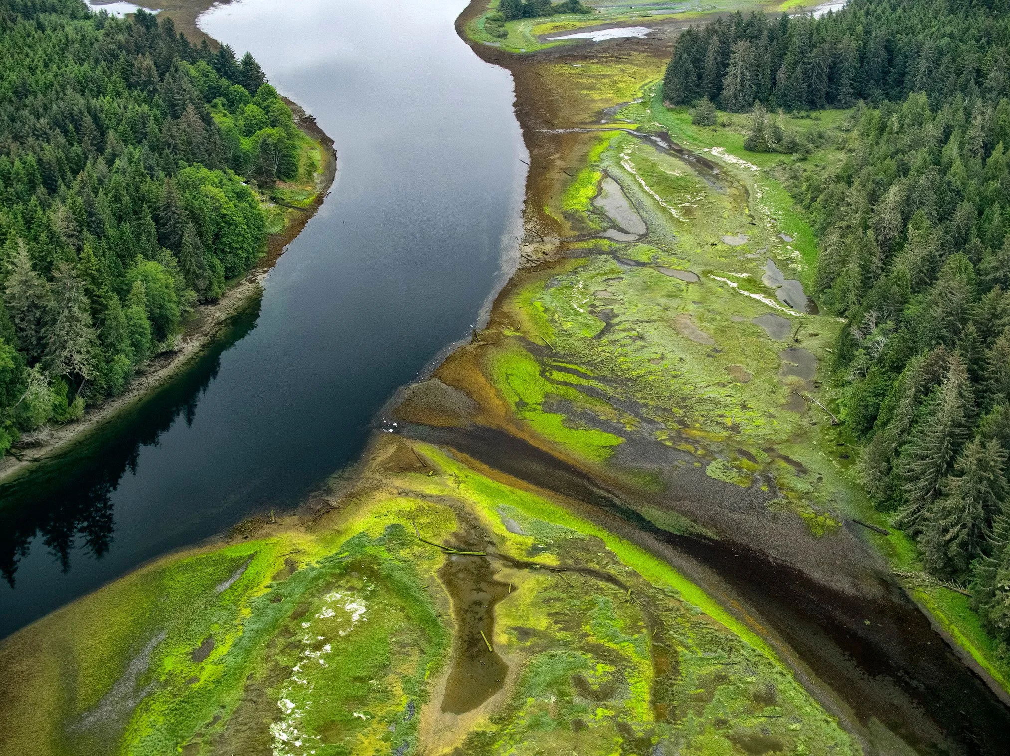 Standing at an Estuary…