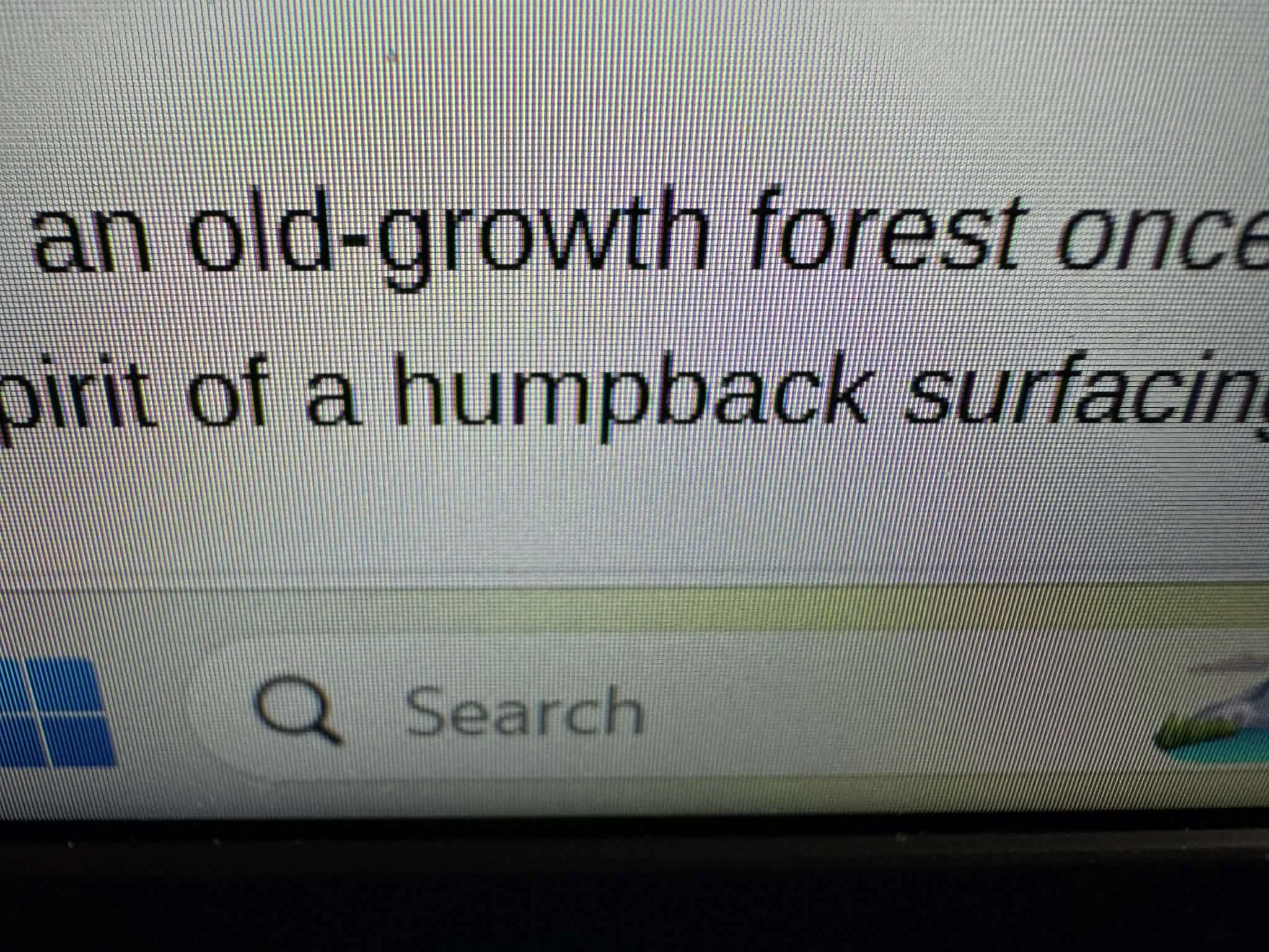 Balance Between Wild and Tech...