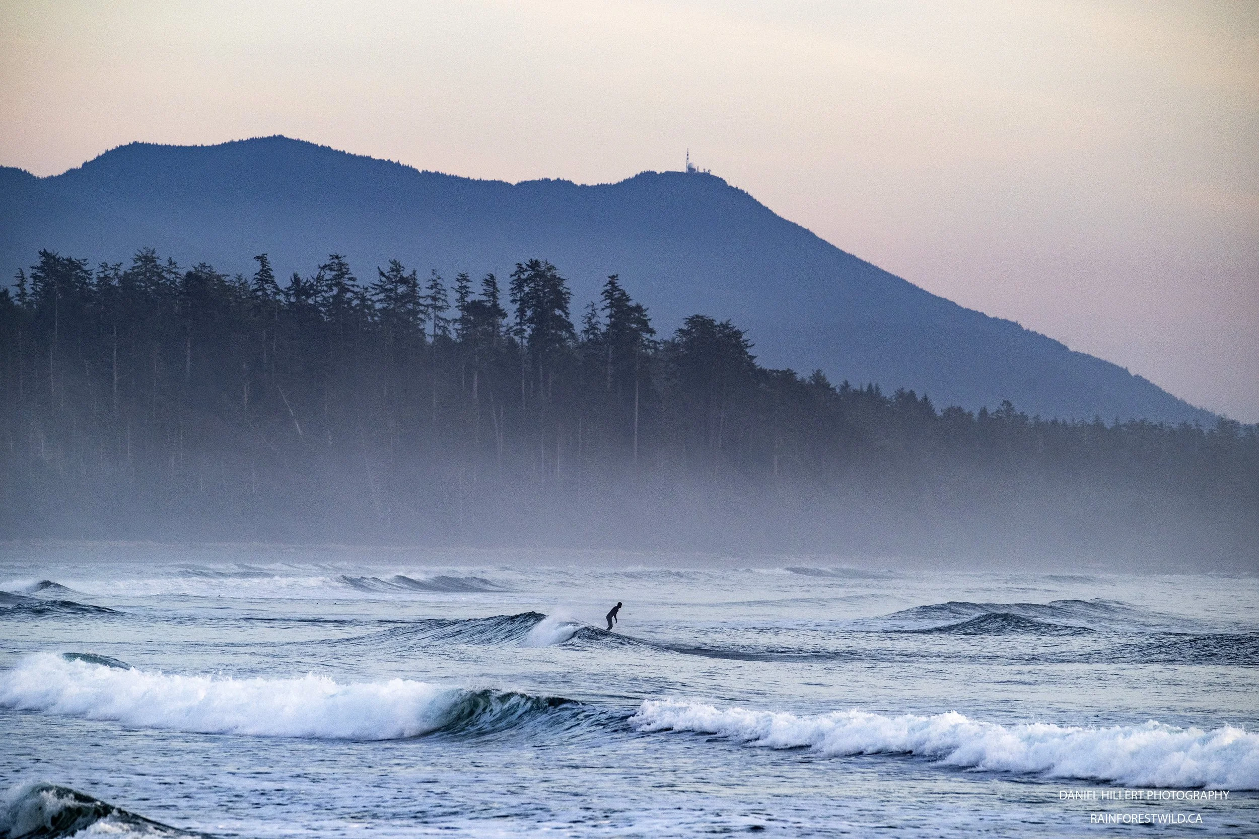 Distant SurferSm DSC_5959.jpg