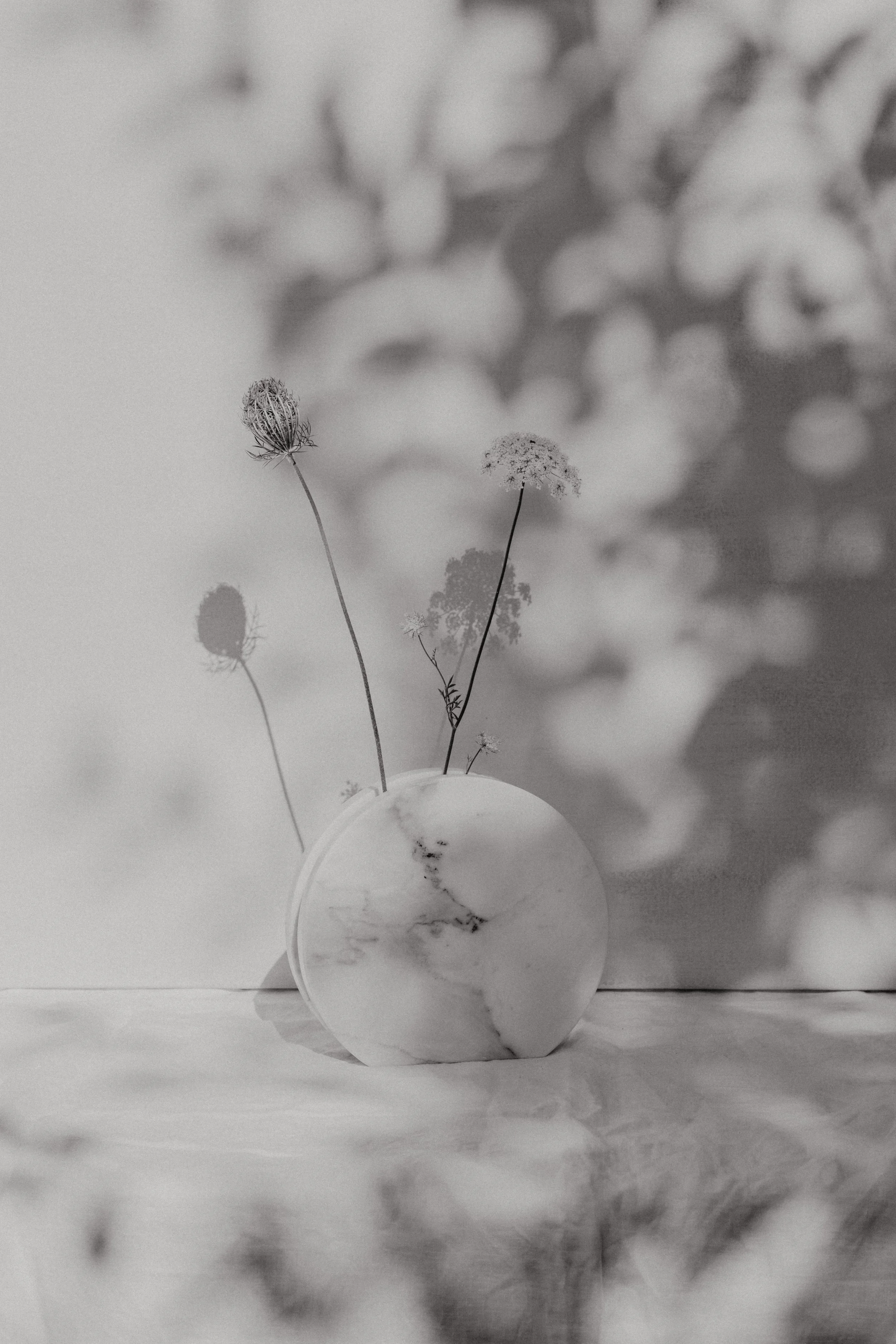Black and white photo of a round marble vase with dried flowers, including thistle and Queen Anne's lace, against a blurred background.
