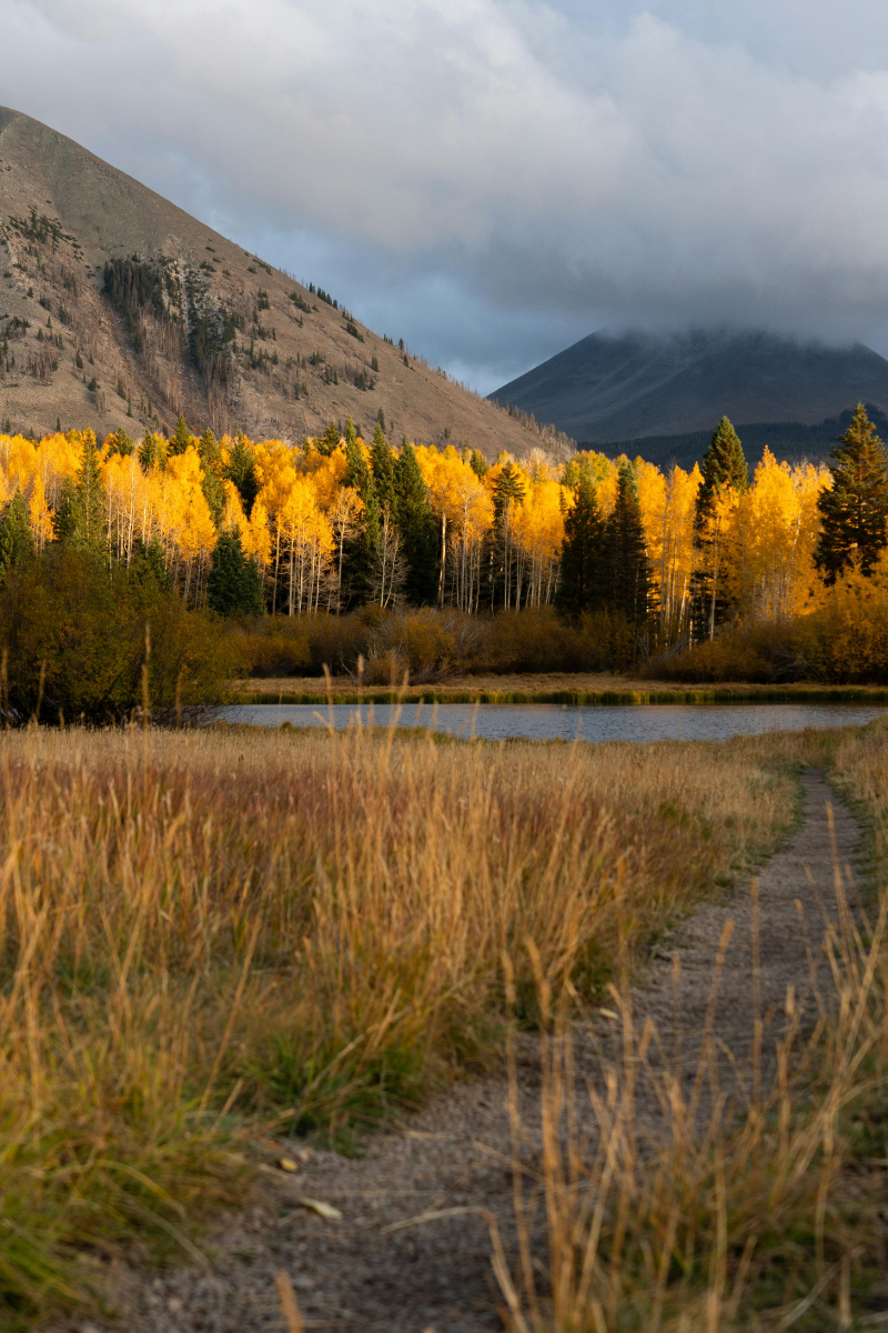 Thinking About Moving to Murray? Read This First