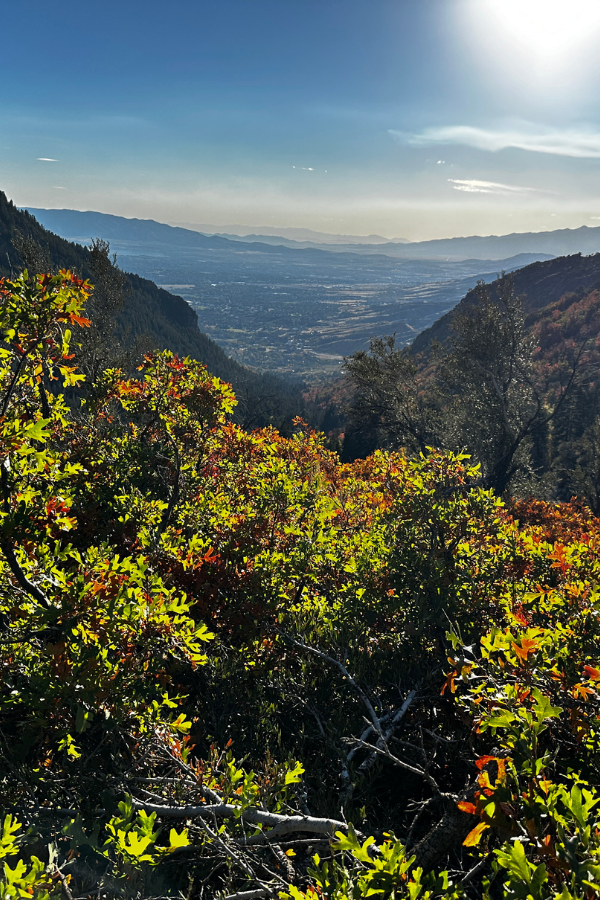 Moving to Cedar Hills Utah