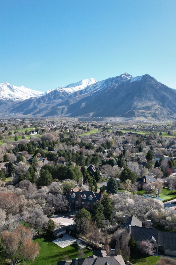 Everything You Need to Know About Cedar Hills