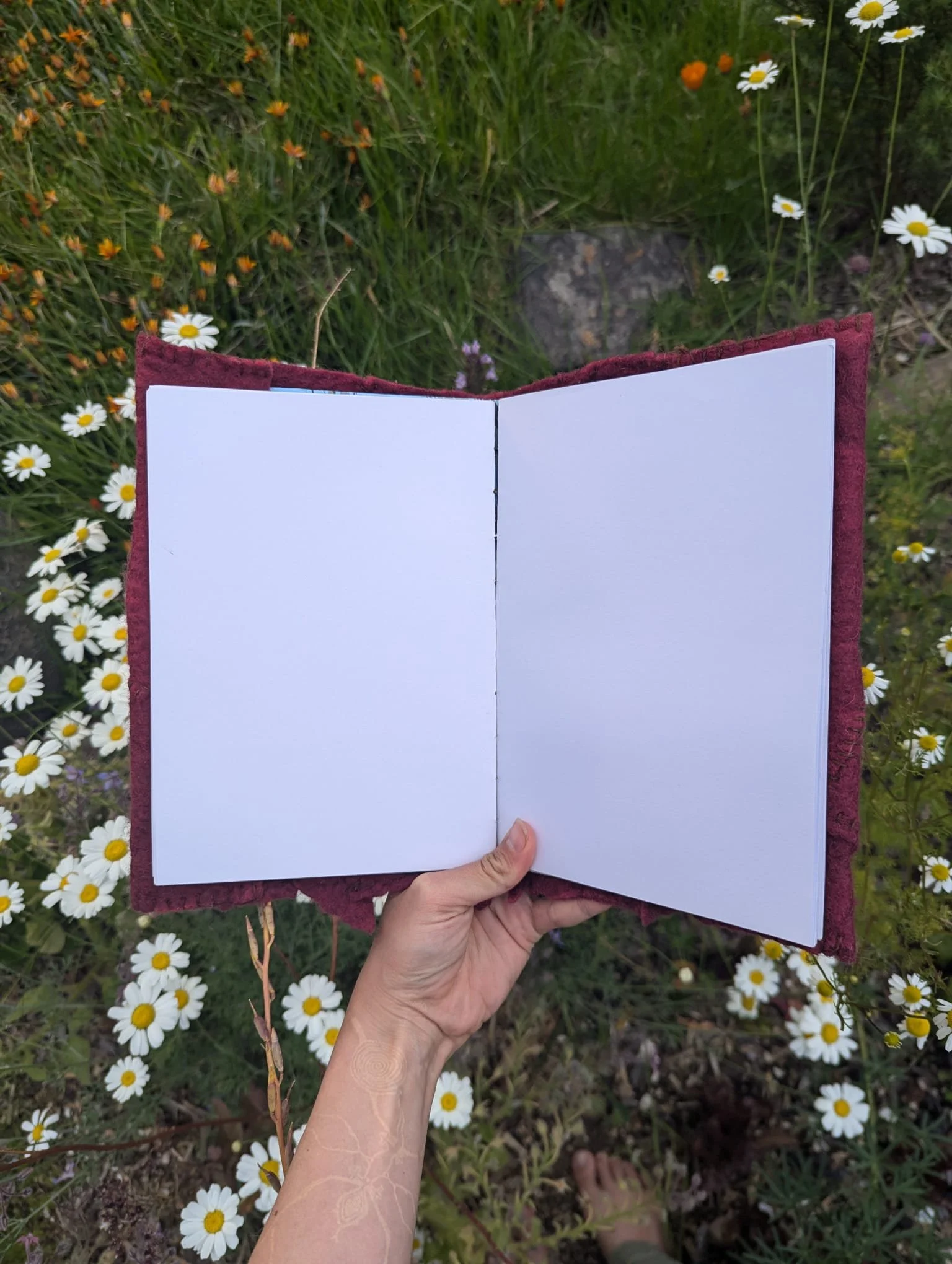 WhatsApp Image 2025-11-15 at 19.39.12.jpeg