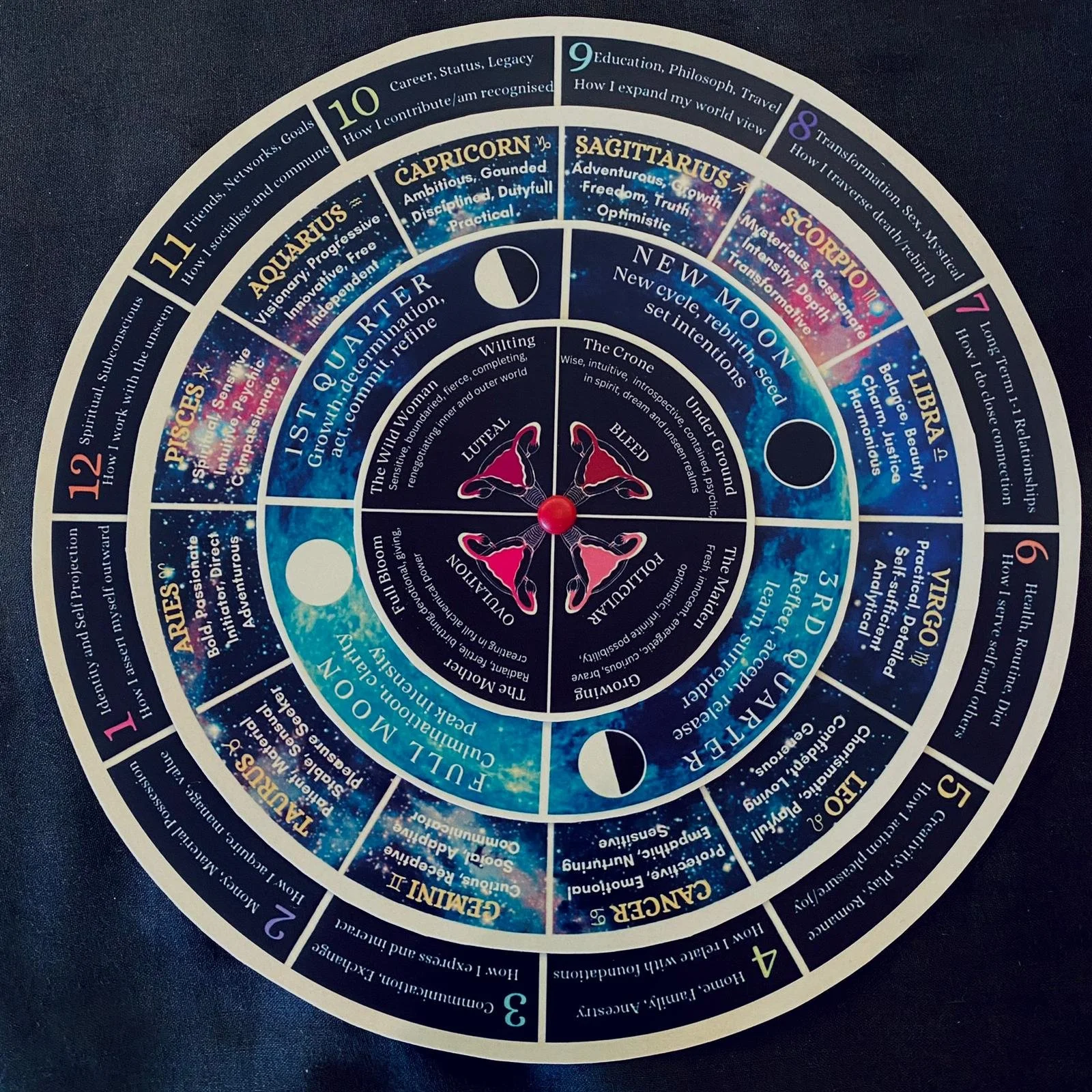 WhatsApp Image 2026-02-08 at 12.29.55.jpeg