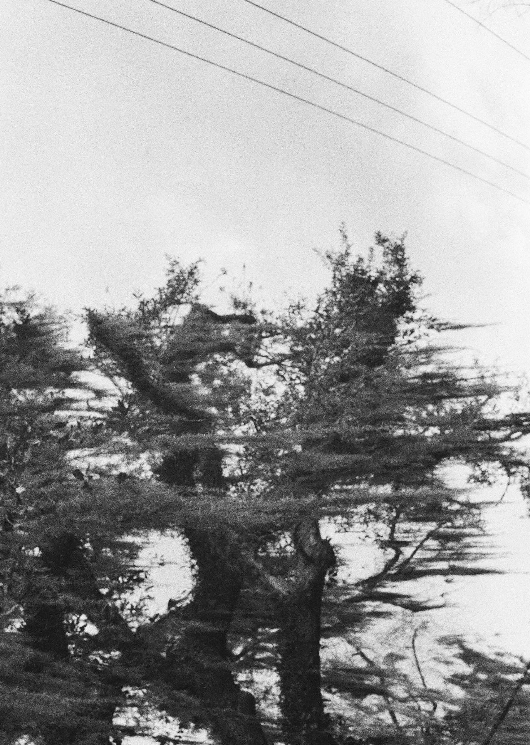 Film - Libby Donnelly 54 copy.jpg