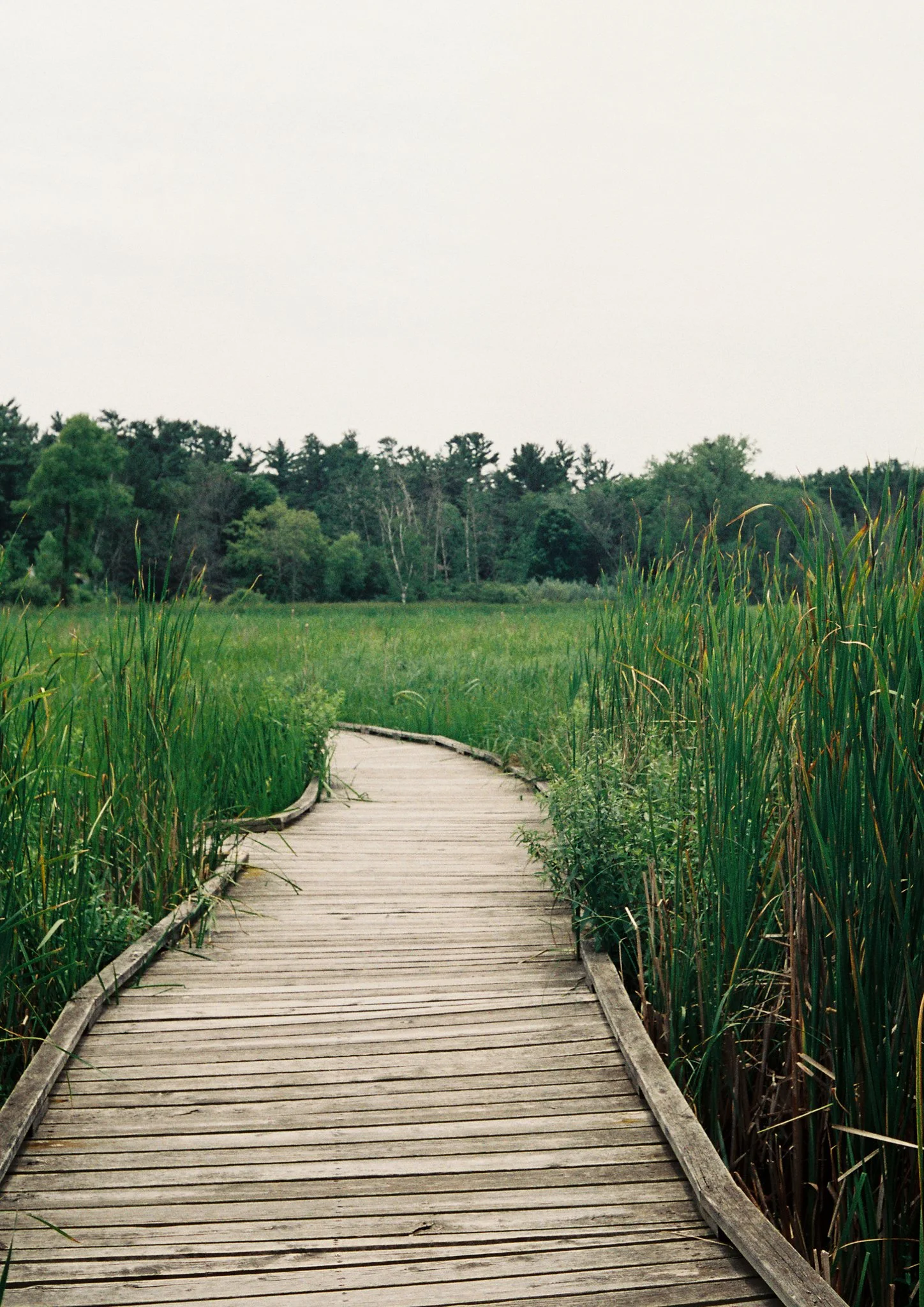 FILM Photos - Libby Donnelly-46.jpg