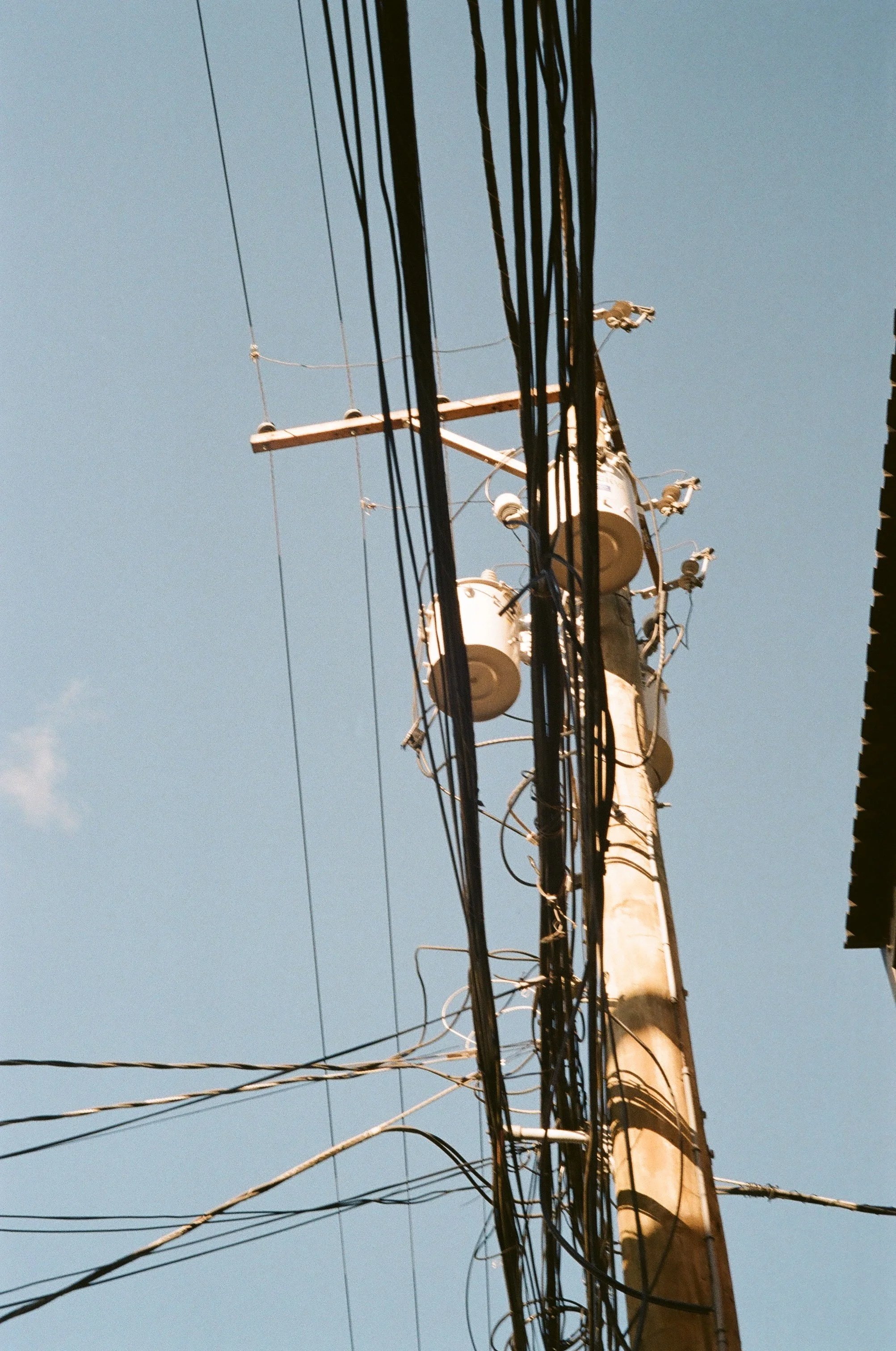 Film - Libby Donnelly 6 copy.jpg
