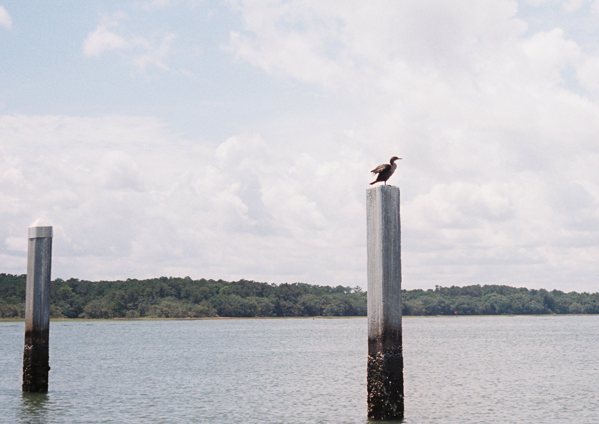 FILM Photos - Libby Donnelly-42.jpg