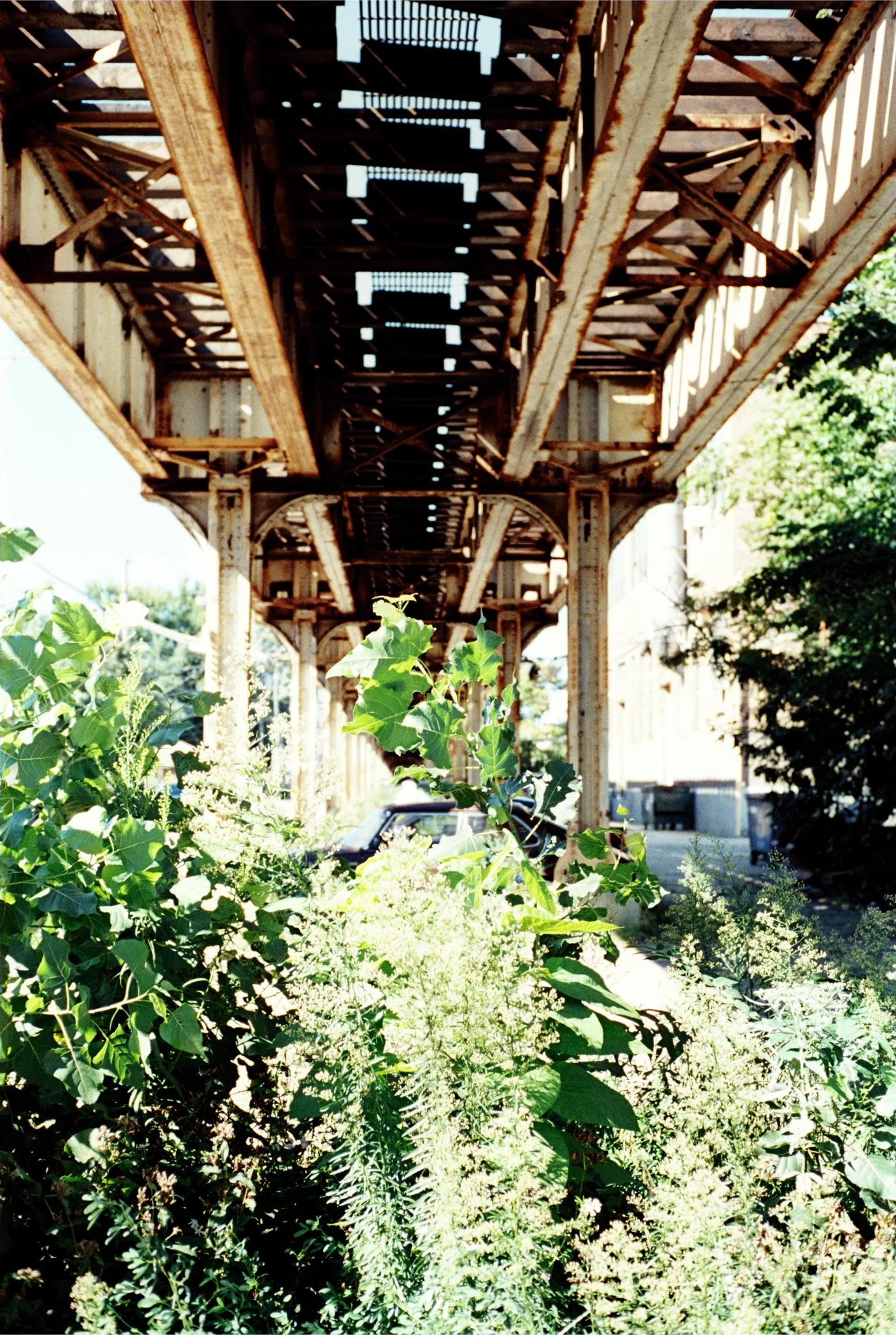 Event Photography -6.jpg