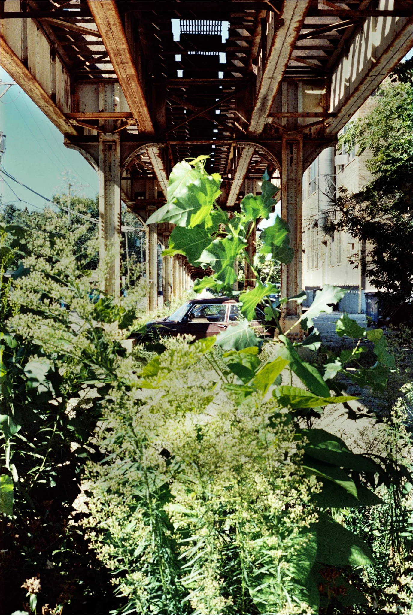 Event Photography -7.jpg