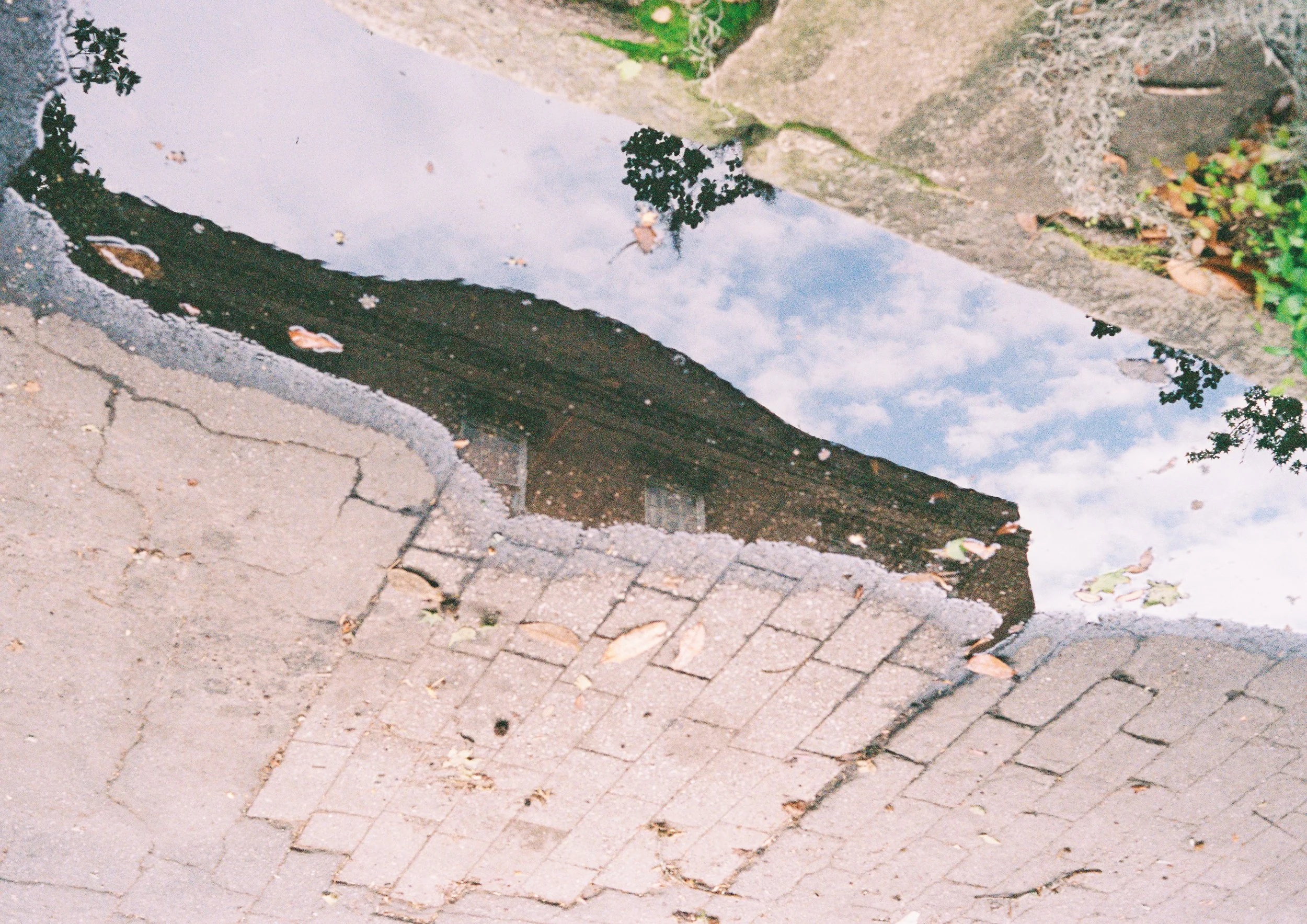 Film - Libby Donnelly 52 copy.jpg