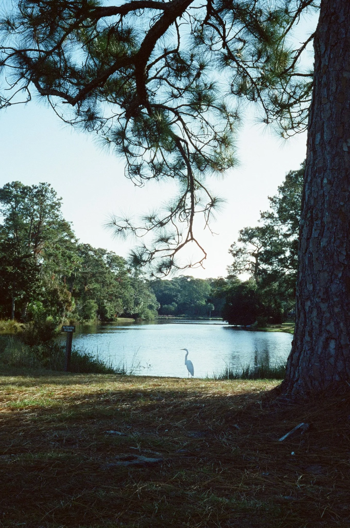 FILM Photos - Libby Donnelly-36.jpg