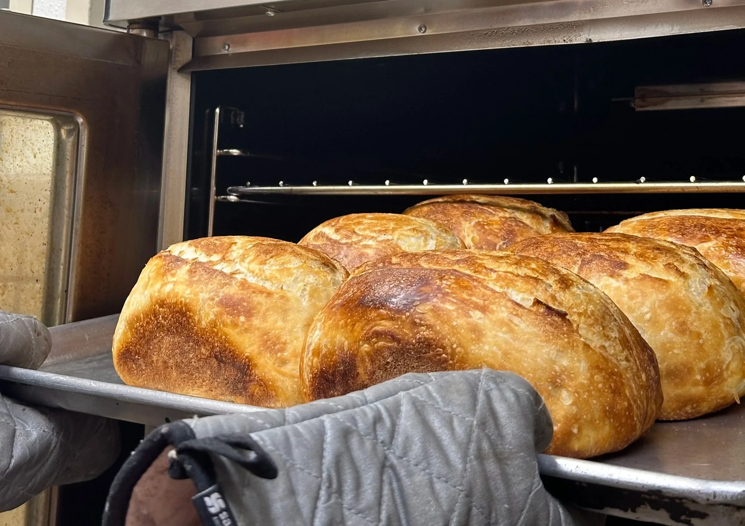Sourdough Loafs (Flavors vary)