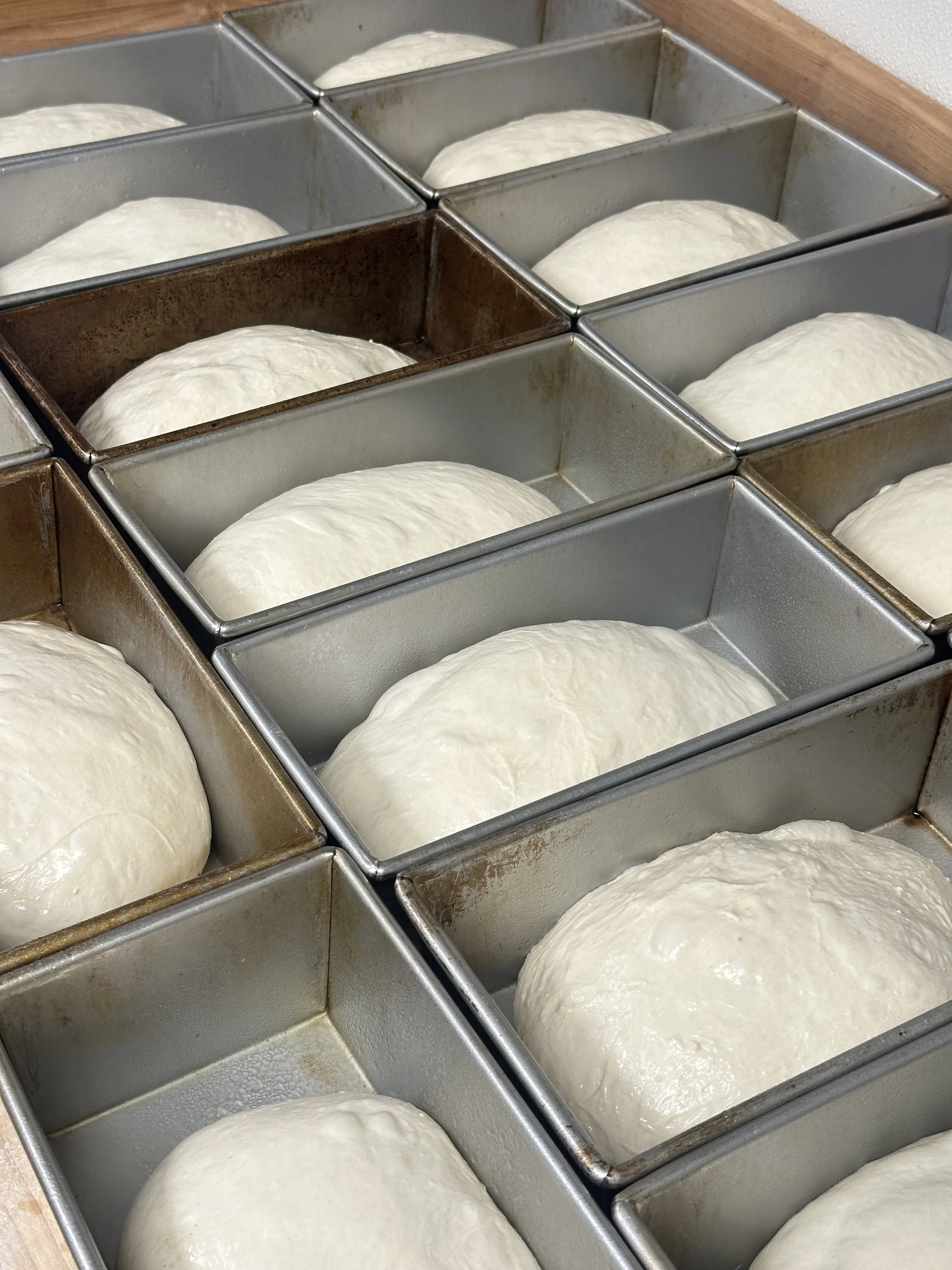 Sourdough in the process..