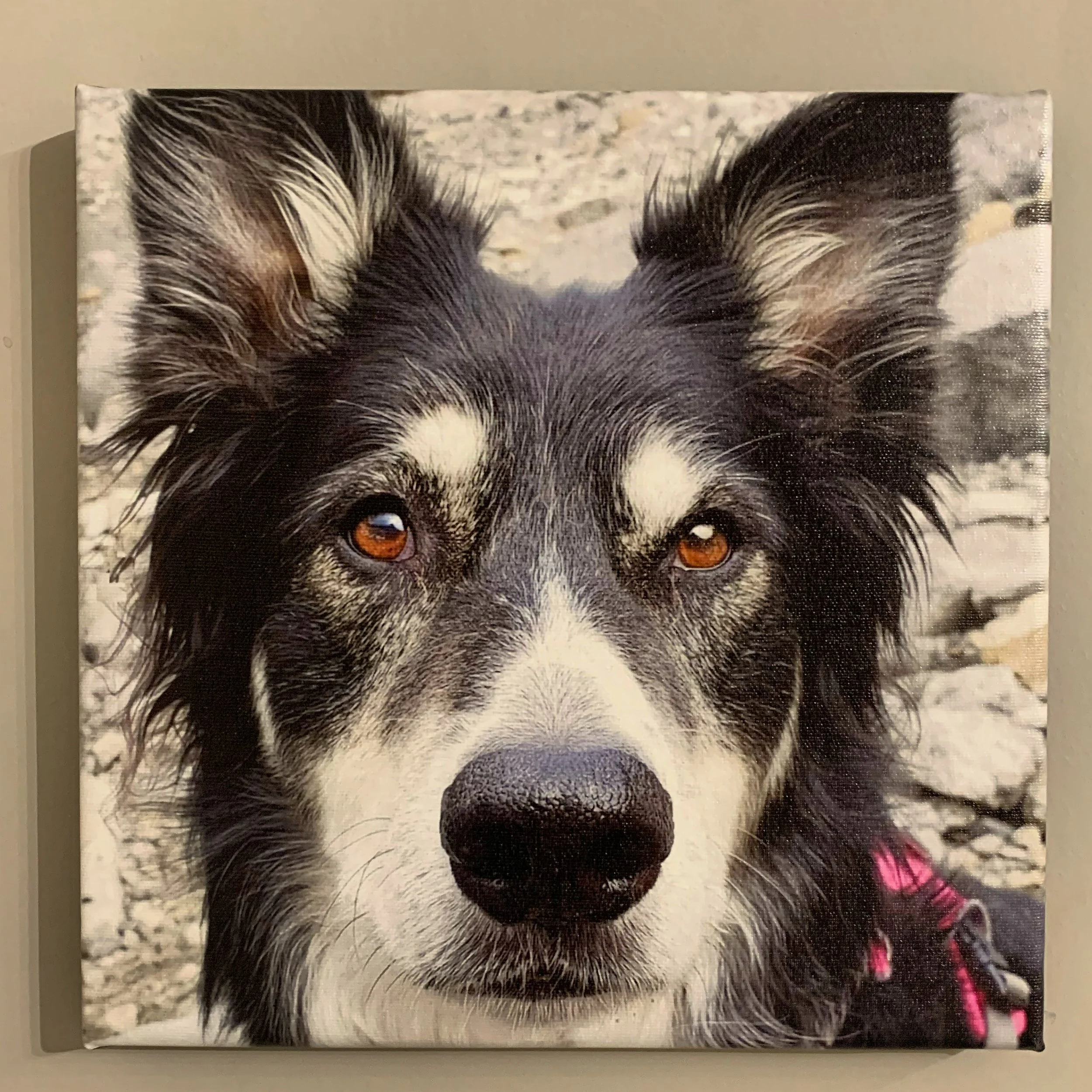 4C85F284-E690-480B-ADE9-A83DC57A53CB 2.JPG