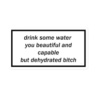 A motivational quote on a white background that says, 'Drink some water you beautiful and capable but dehydrated bitch'.