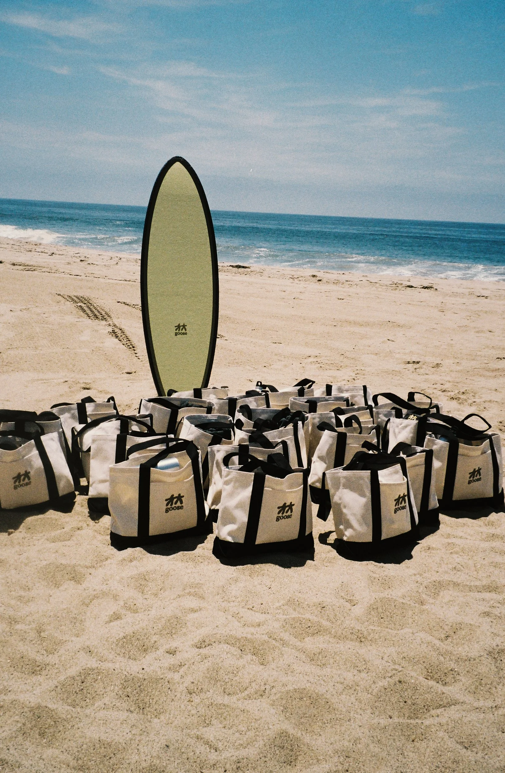 GOOSE_SURF_CLUB_BRONZE 1.jpg
