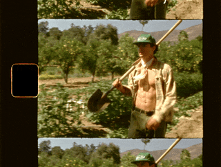 nic vansteenberghe_sweetgreen