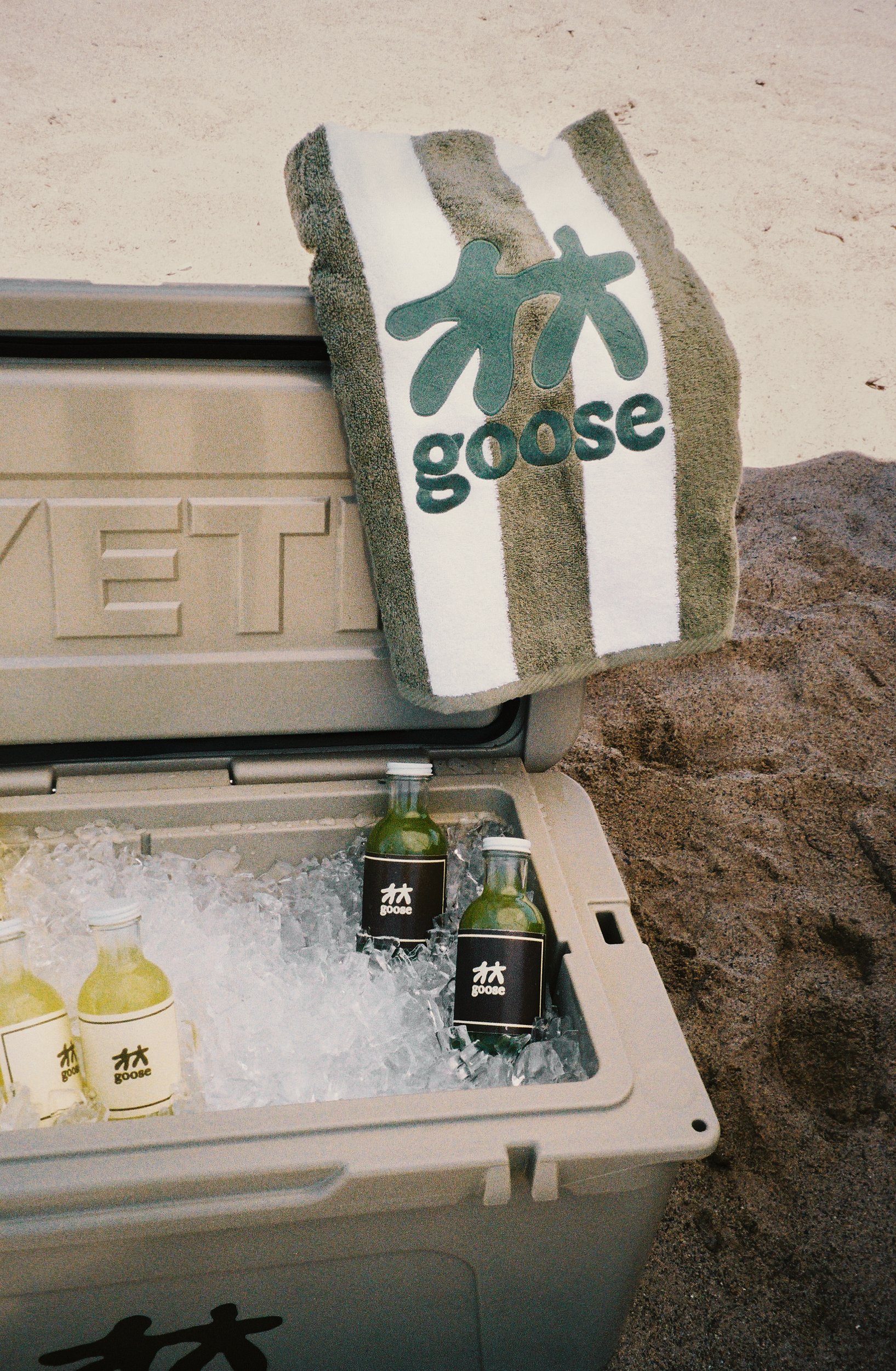 GOOSE_SURF_CLUB_BRONZE 3.jpg