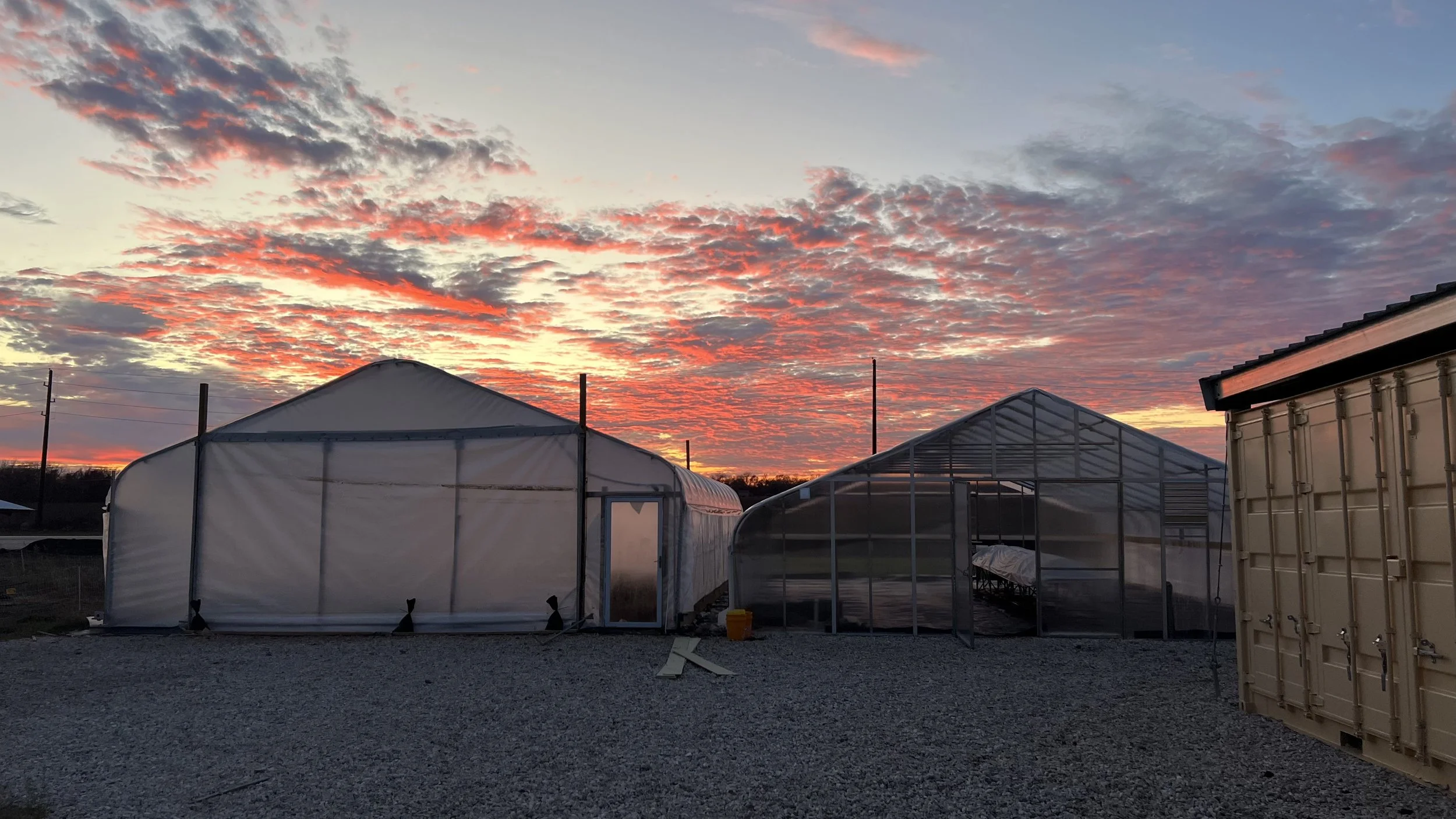 two large greenhouses.jpg