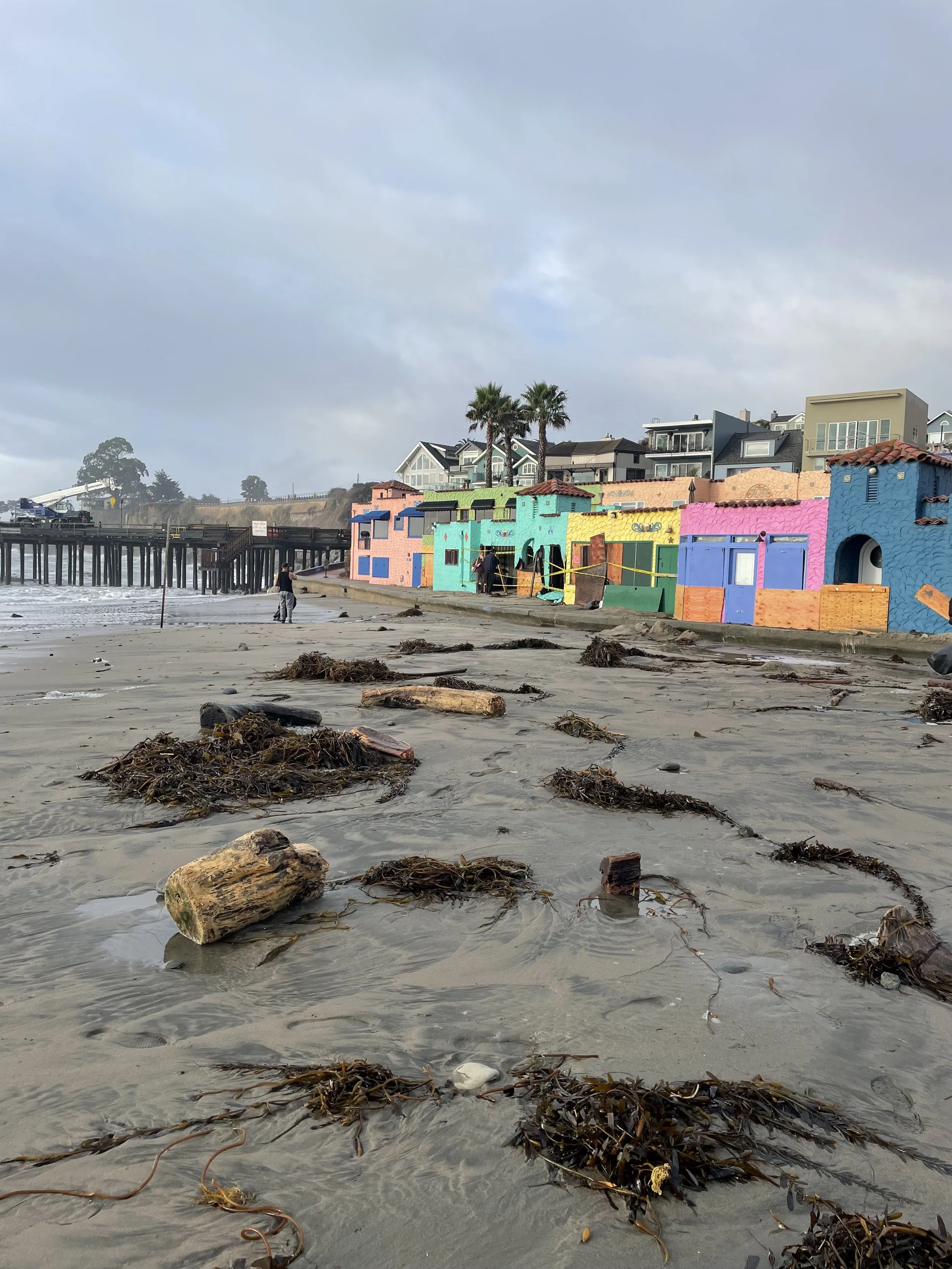 Beach Clean Up