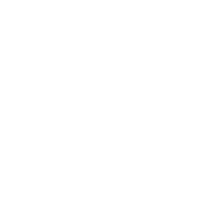 Veteran Surf Alliance