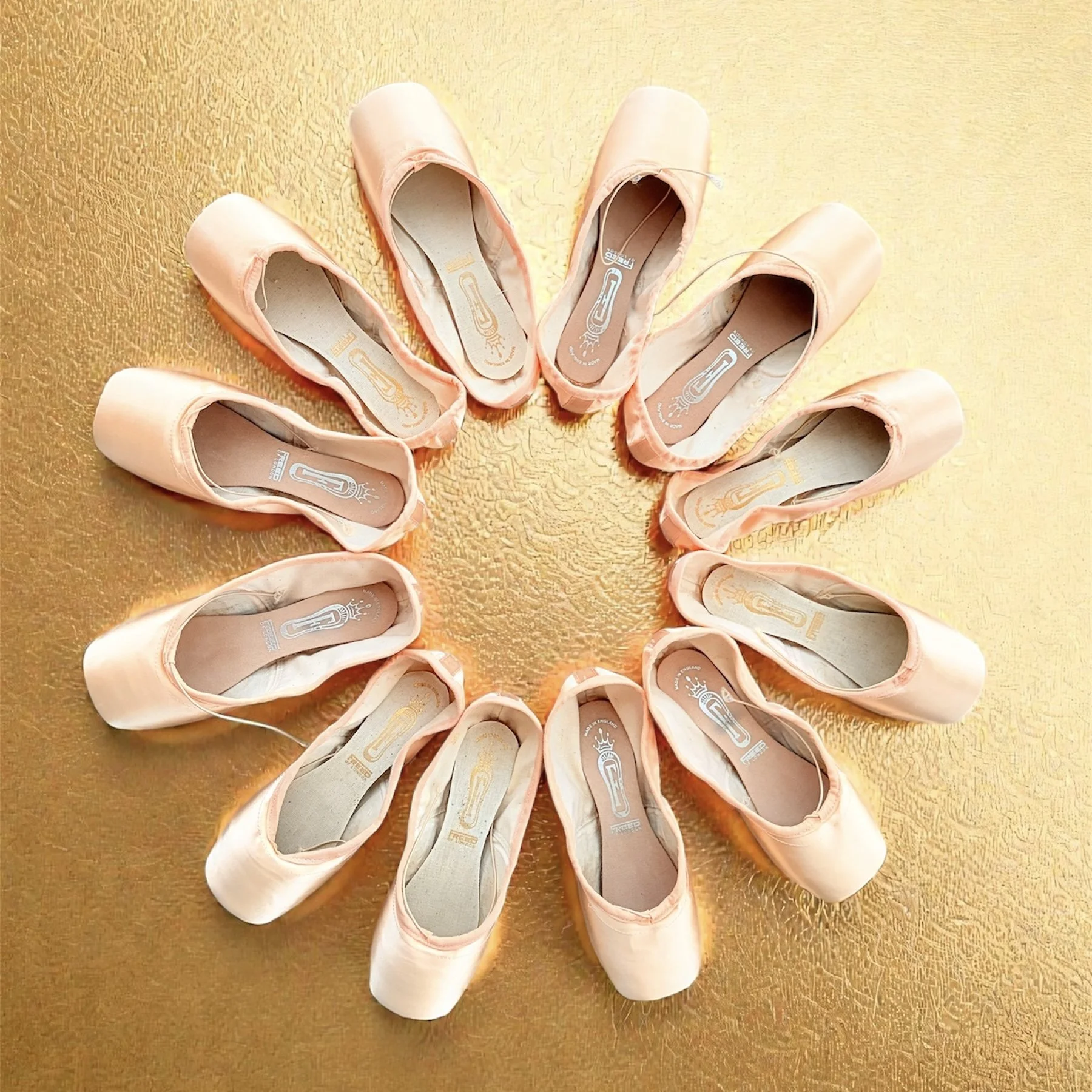 Audition Preparation