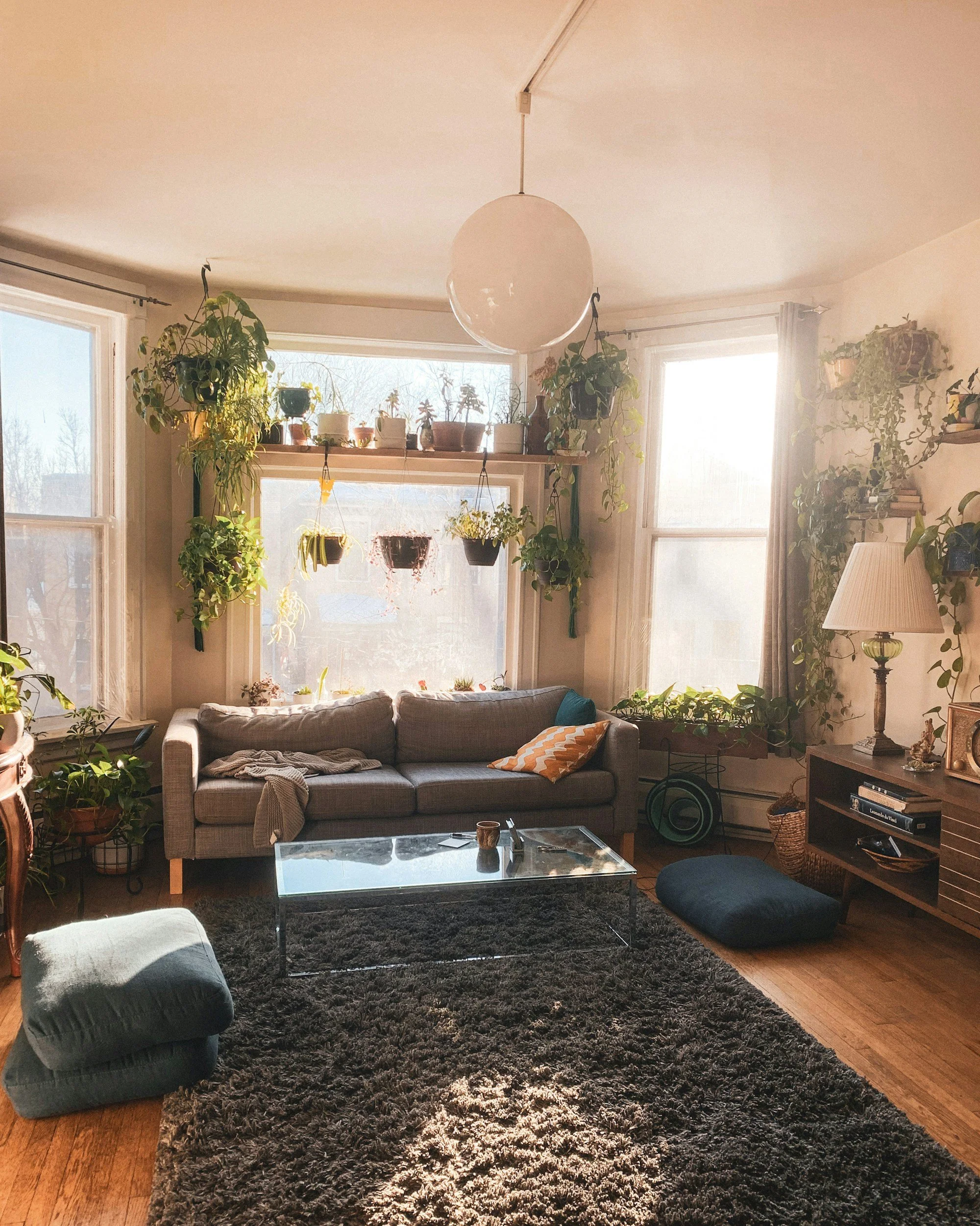 A cozy living room filled with natural light from large windows, with hanging and potted plants, a gray sofa with pillows, a glass coffee table, a black rug, and wooden furniture.