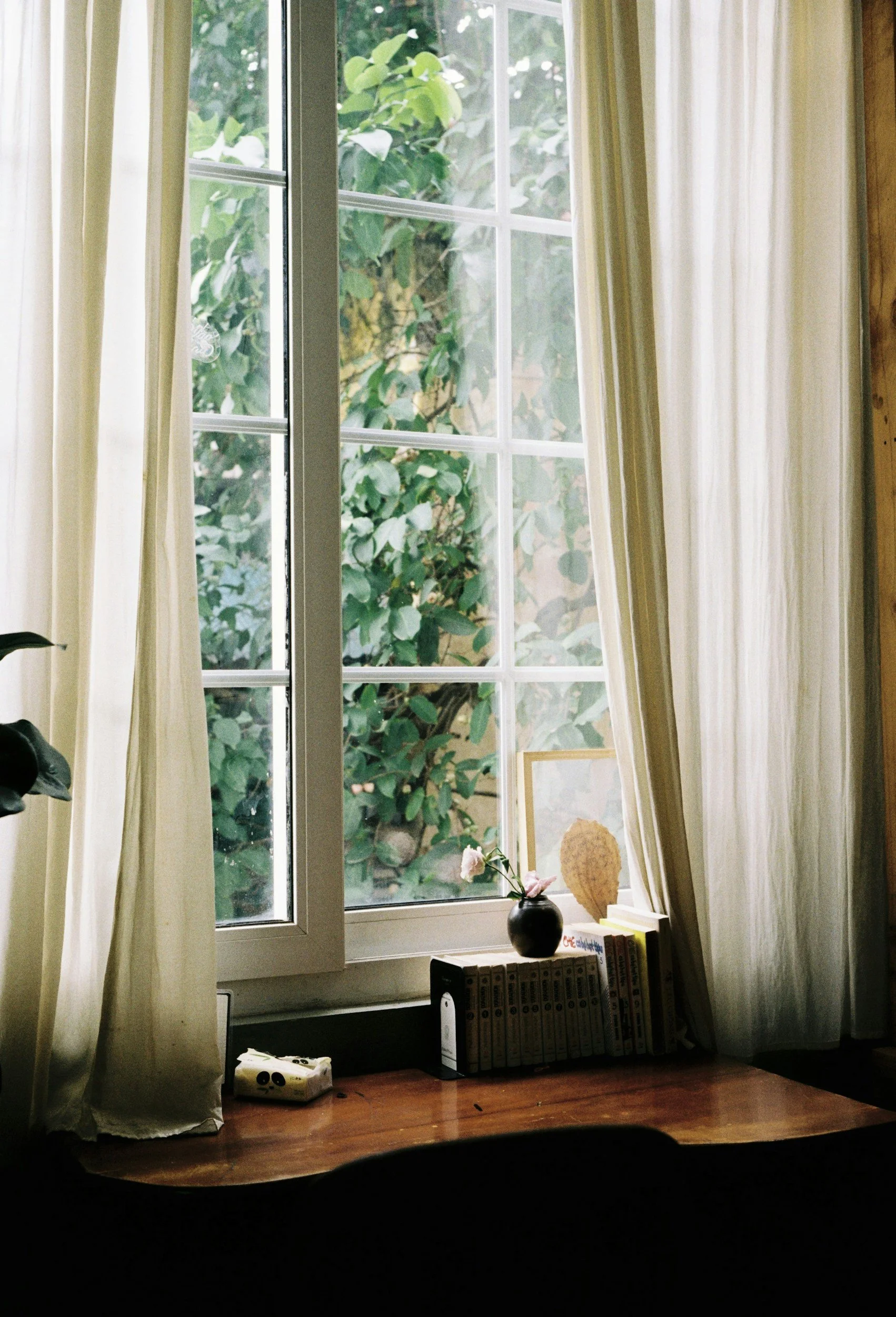A window with beige curtains, outside greenery, a small shelf with a black vase, pink flowers, books, and decorative leaves inside.