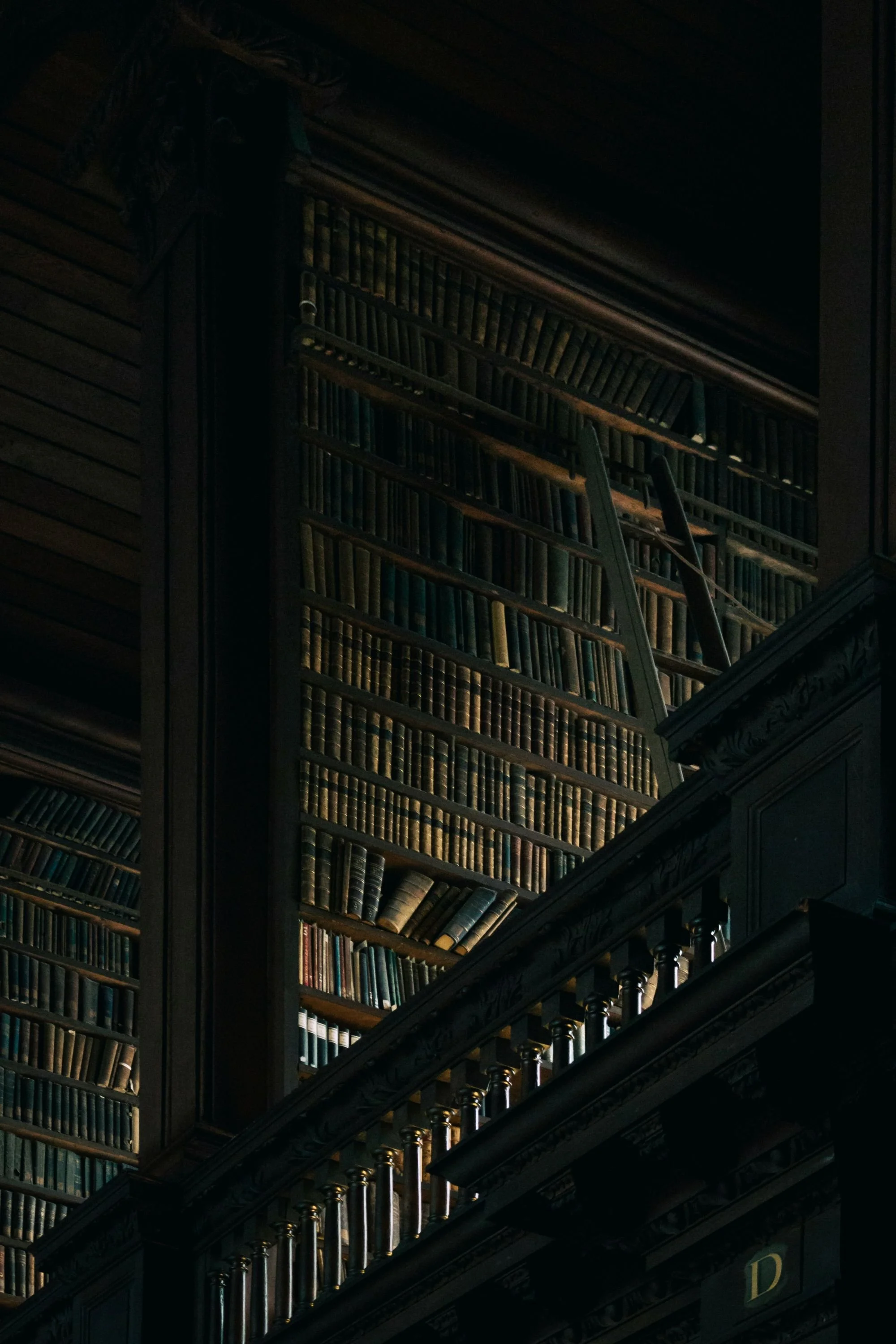A dark, old-fashioned library with tall wooden bookshelves filled with numerous old books. There is a ladder leaning against the shelves for reaching higher books, and a railing along a balcony or upper level.