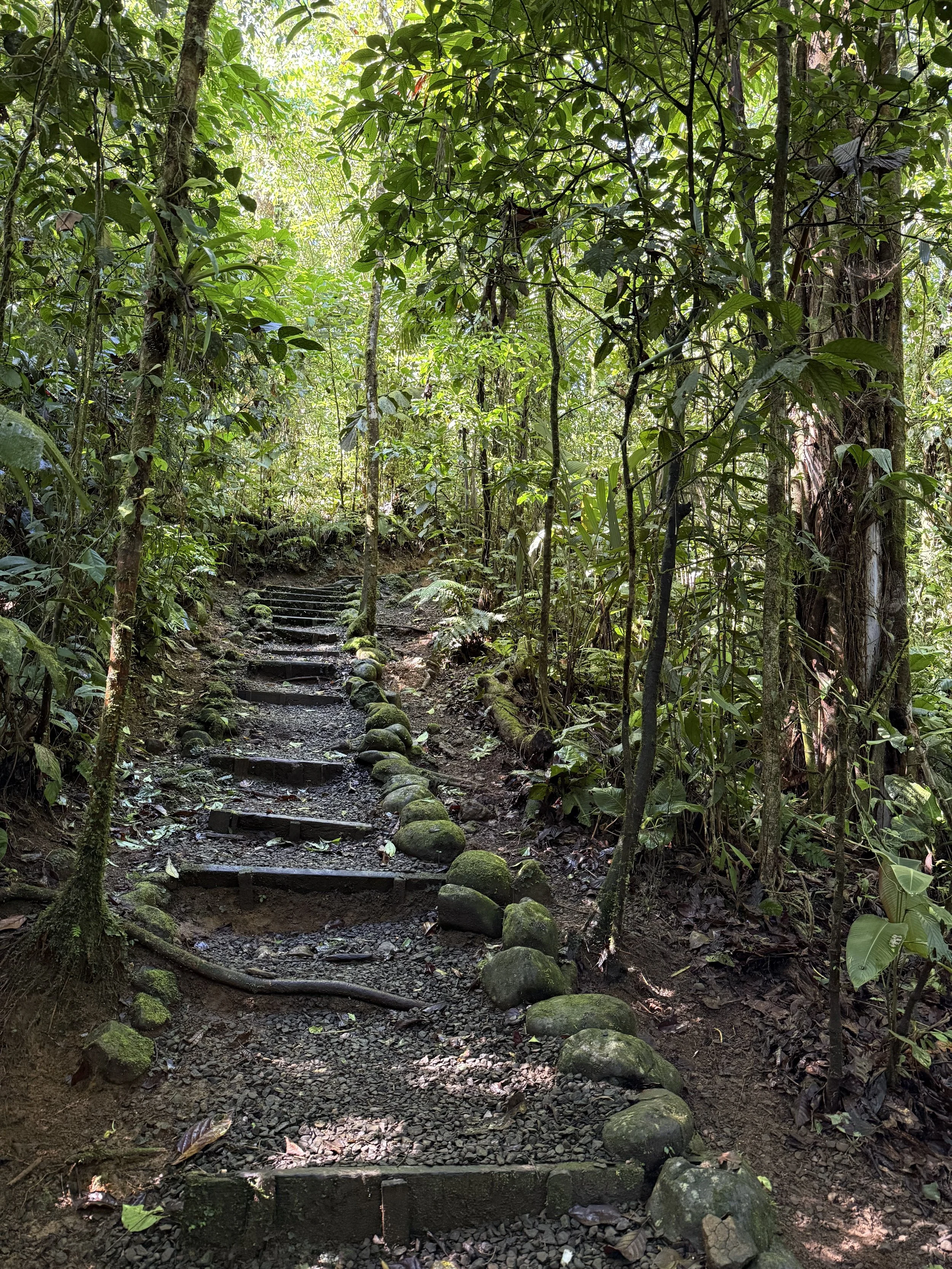 Letting Go of Limiting Beliefs: A Step-by-Step Guide