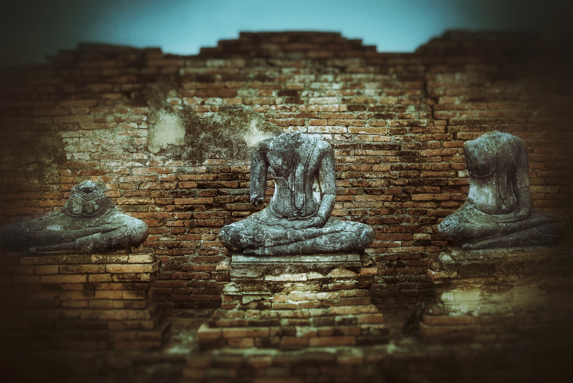 Snapseed 40.jpg