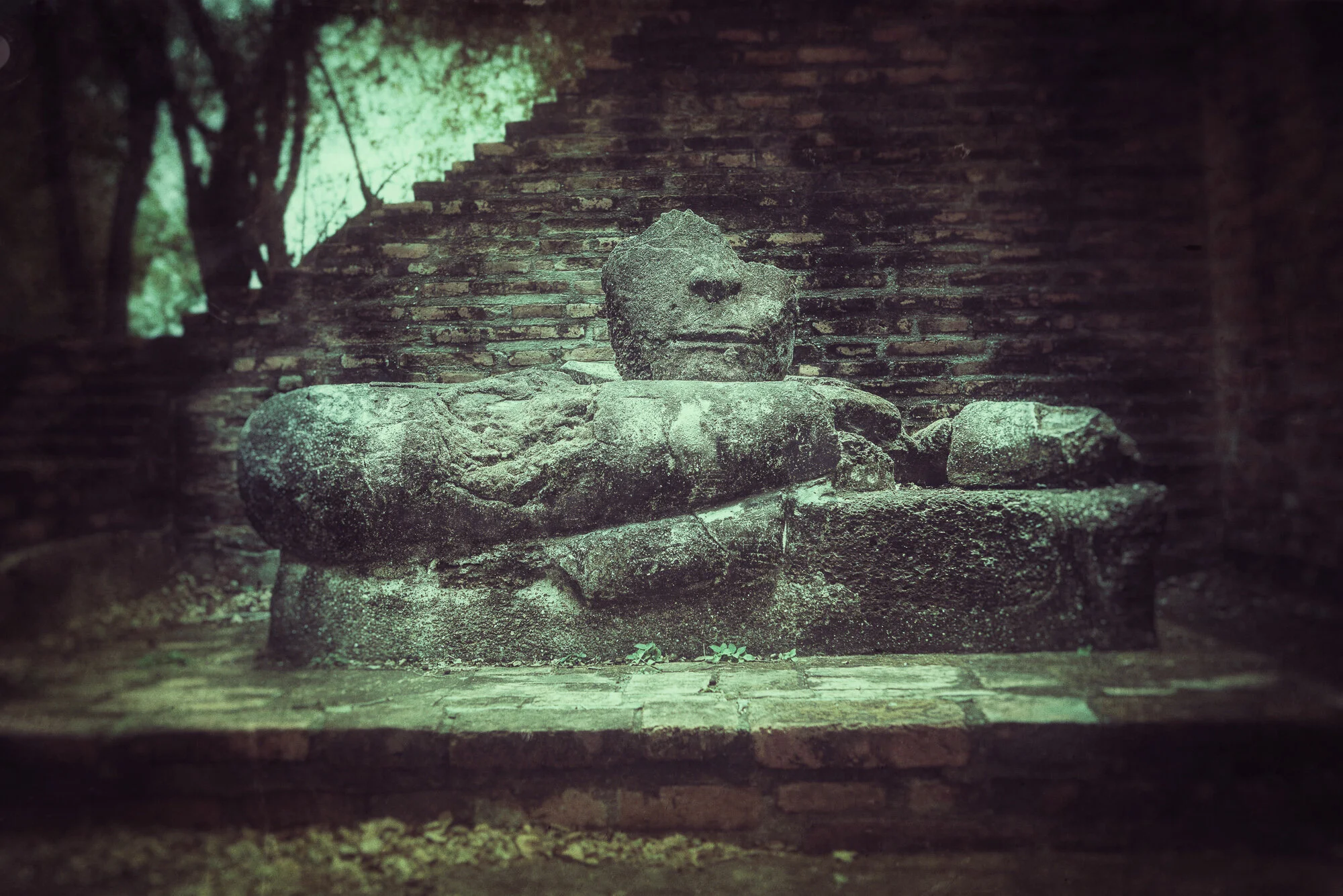 Snapseed 19.jpg