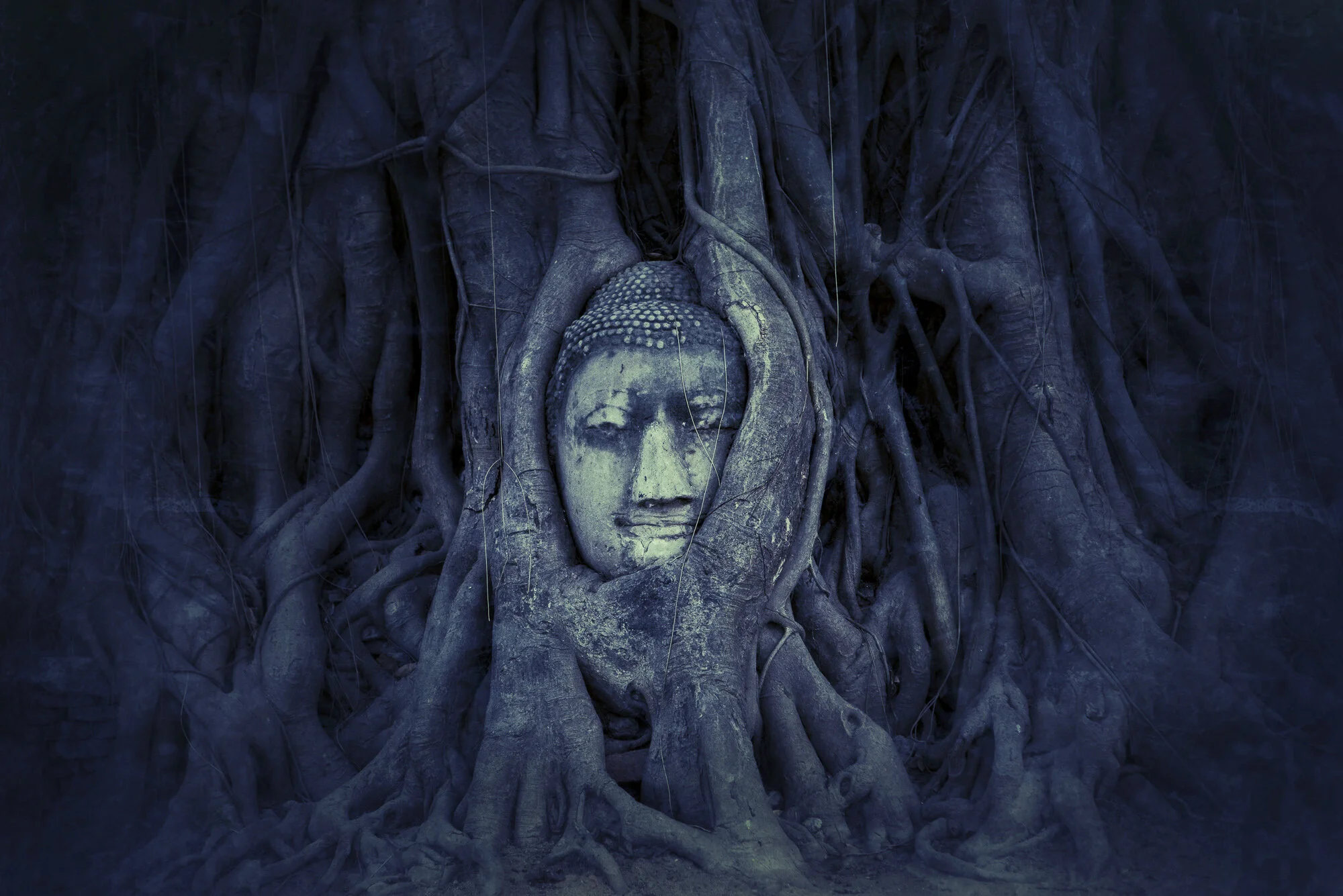 Broken Buddhas
