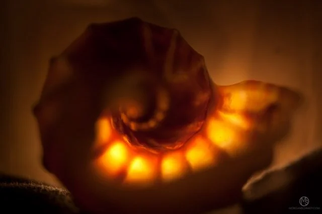 Inner Sanctums Series