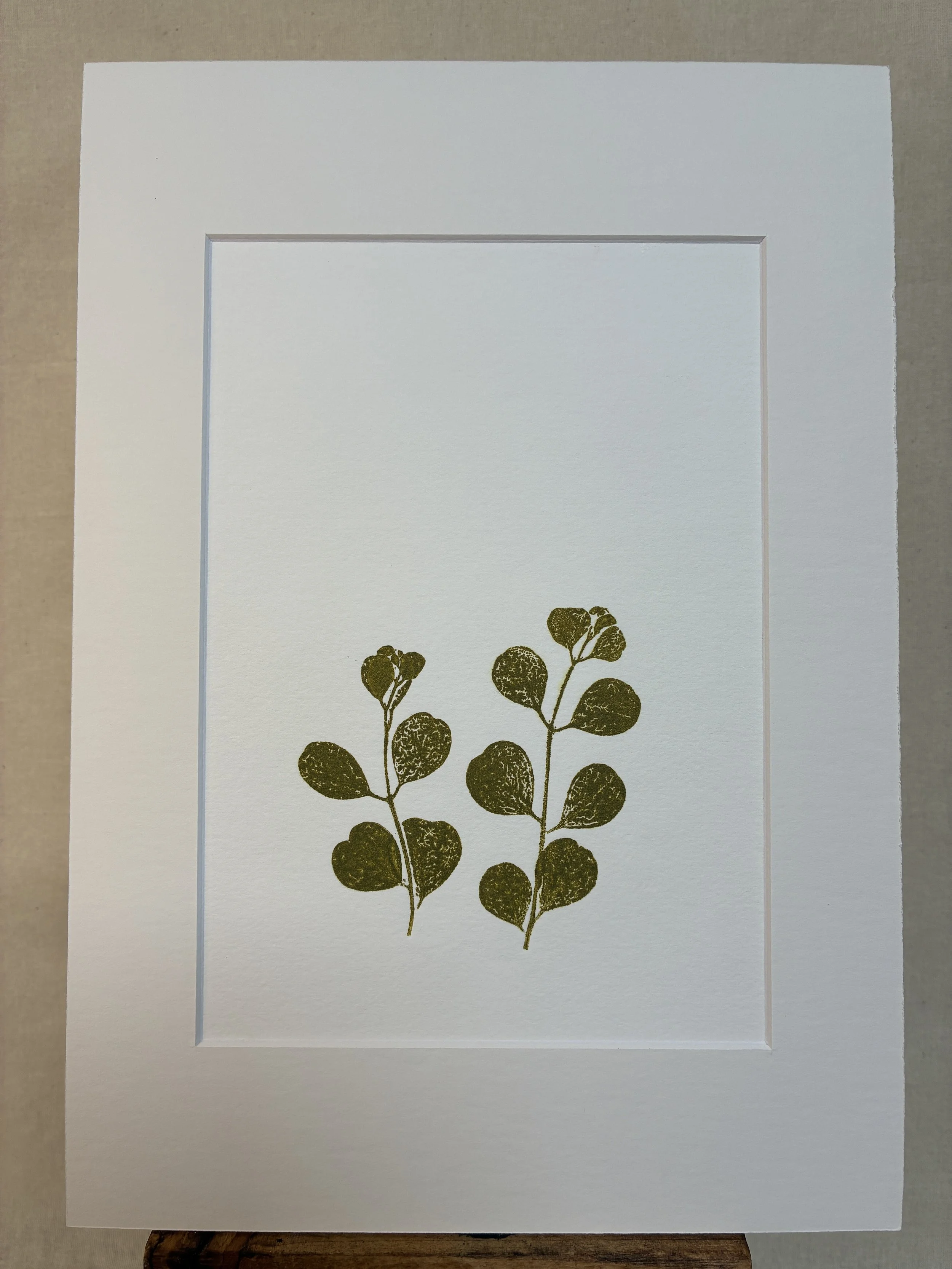 Heart-leaf Mallee 1, Positive Print, Eucalyptus Green