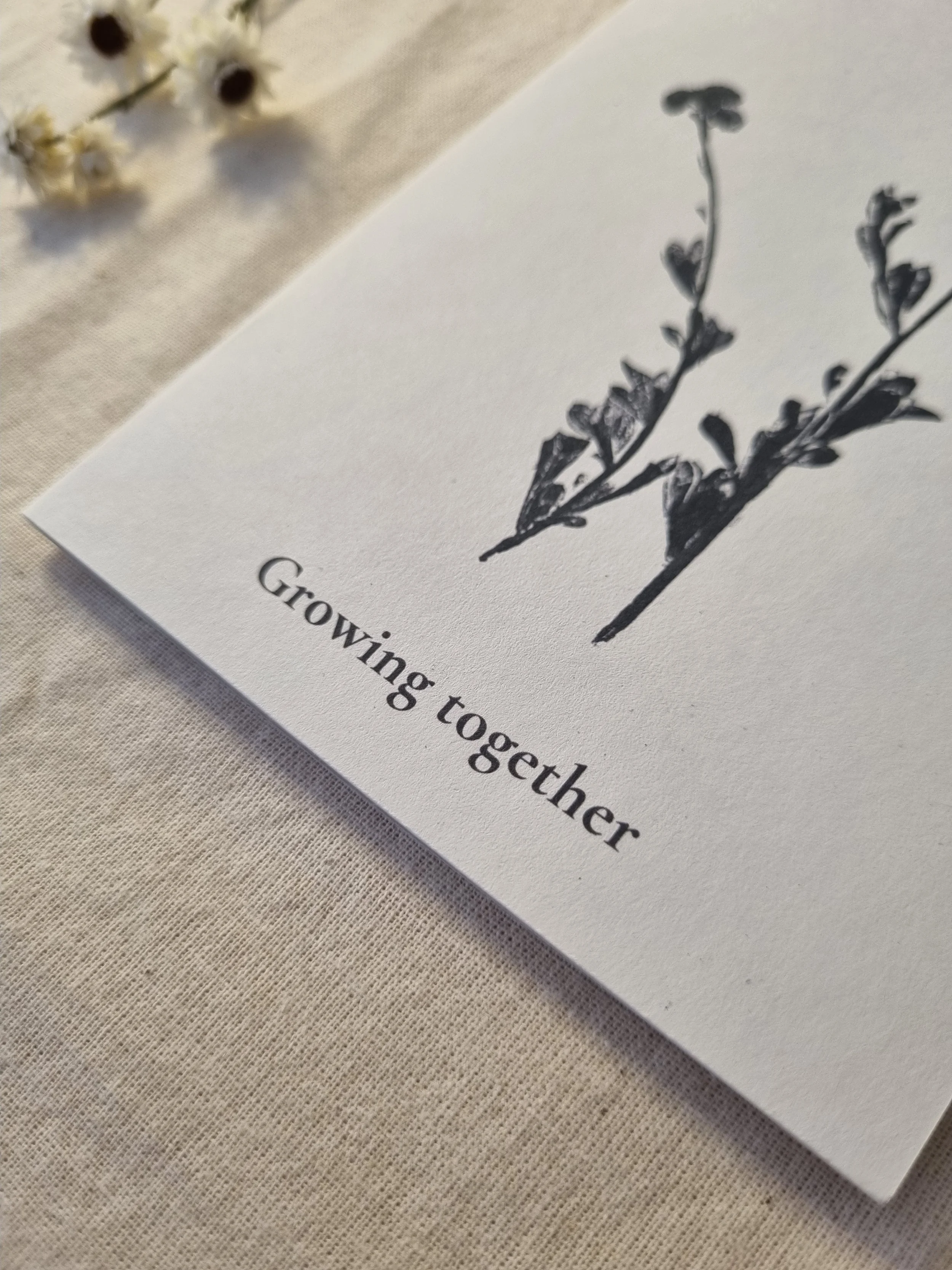 Botanical Card – Common Everlasting – “Growing Together”