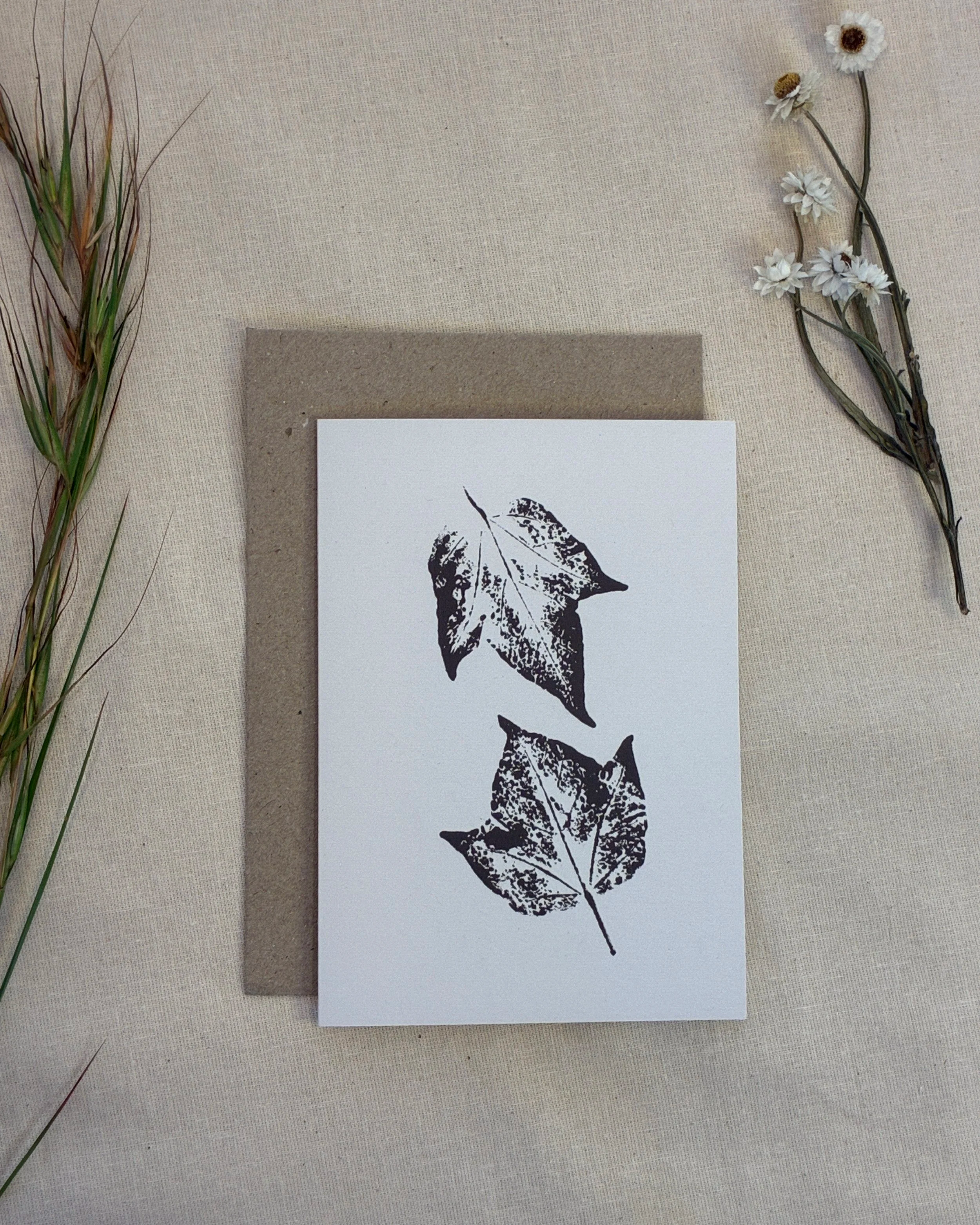 Queensland Lacebark Tree — Botanical Greeting Card