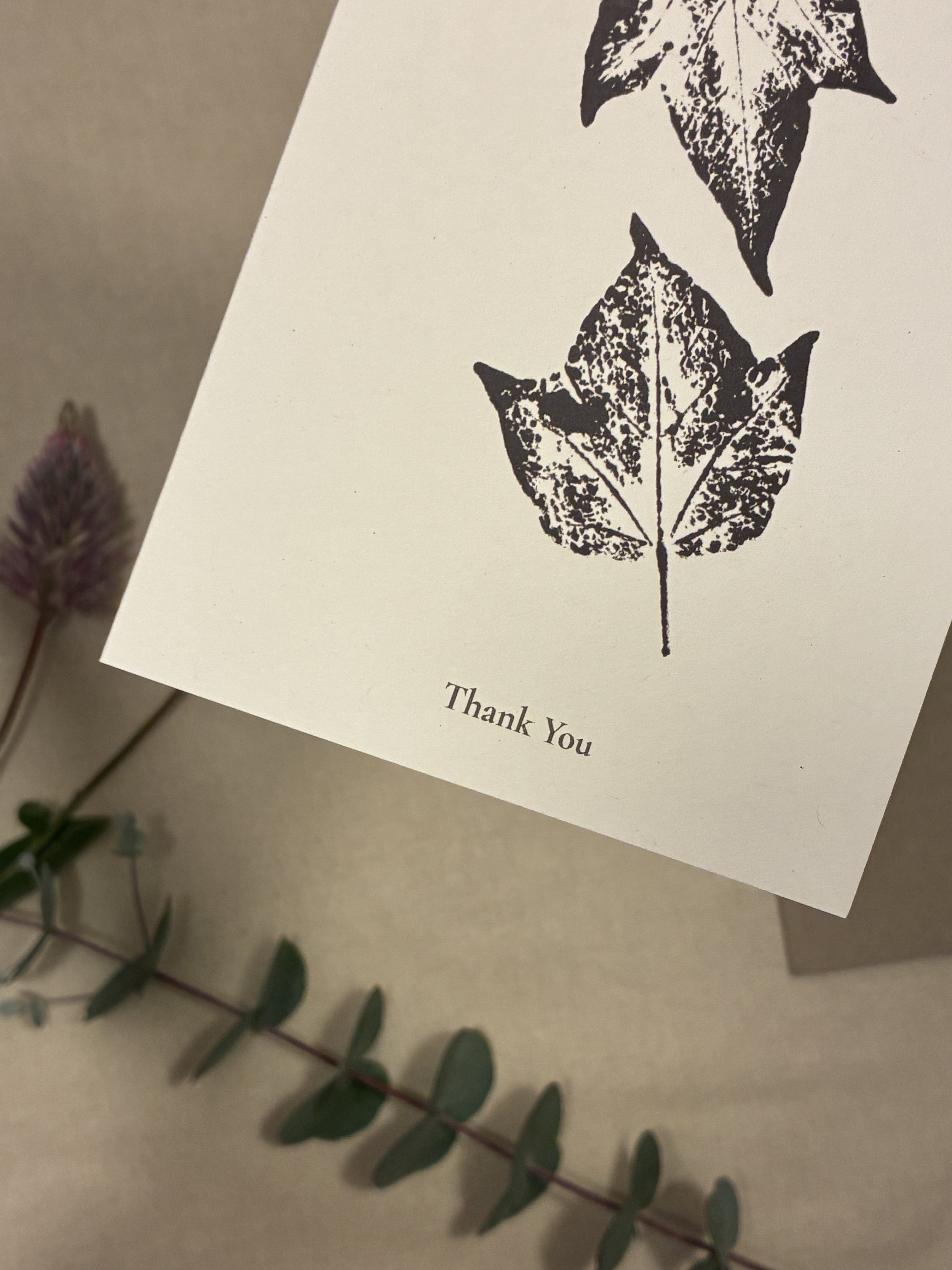 "Thank You" Queensland Lacebark Tree — Botanical Greeting Card