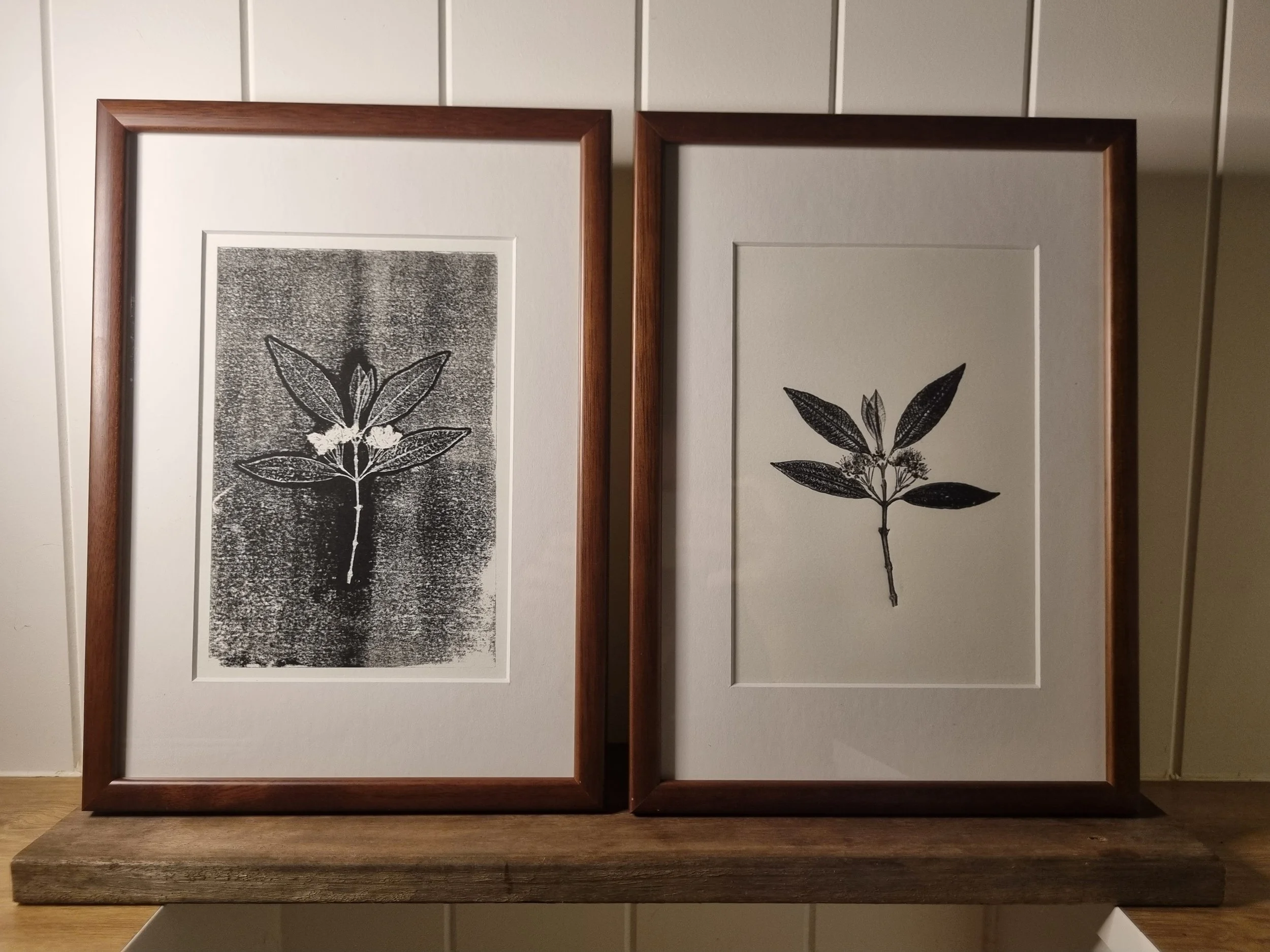 20260119_205546.jpg (Copy)