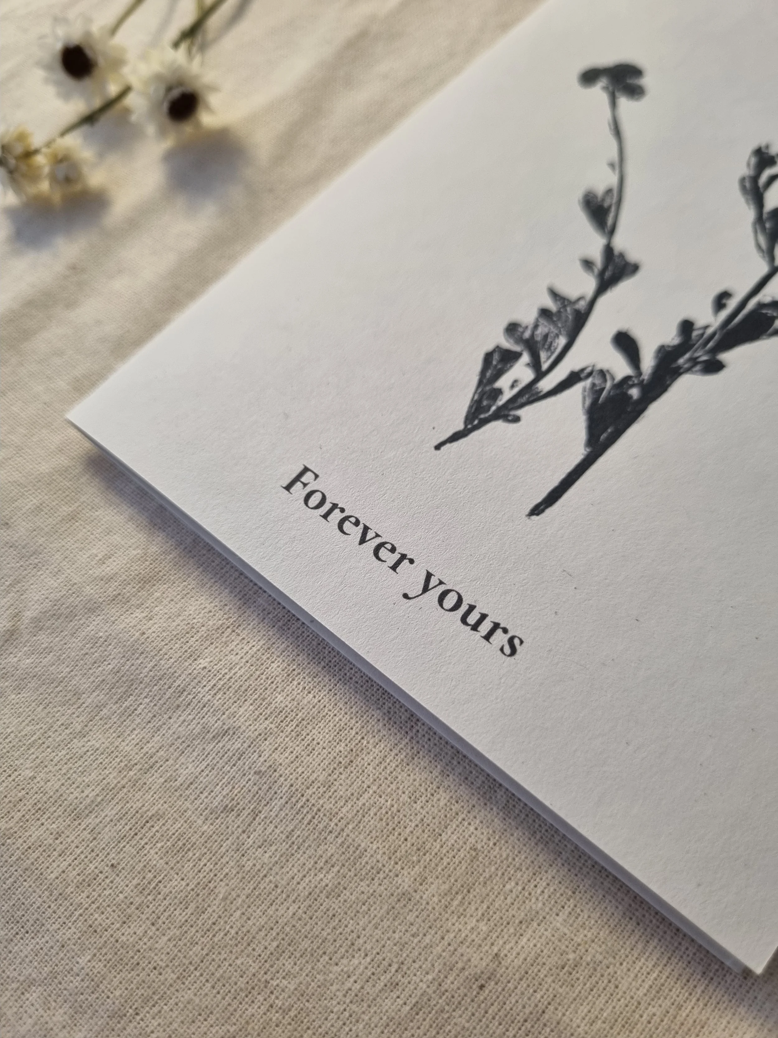Botanical Card – Common Everlasting – “Forever Yours”