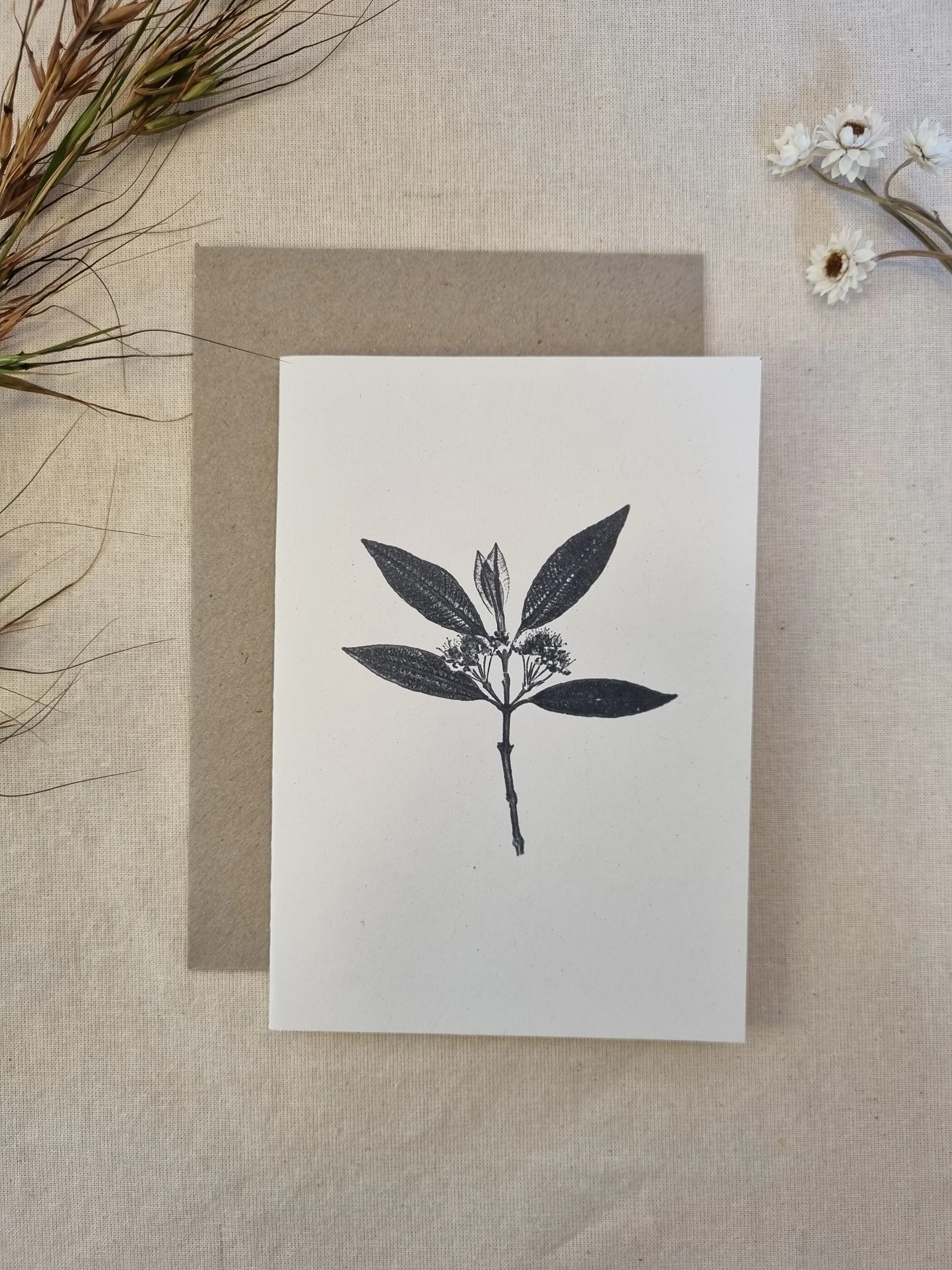 Lemon Myrtle — Botanical Greeting Card