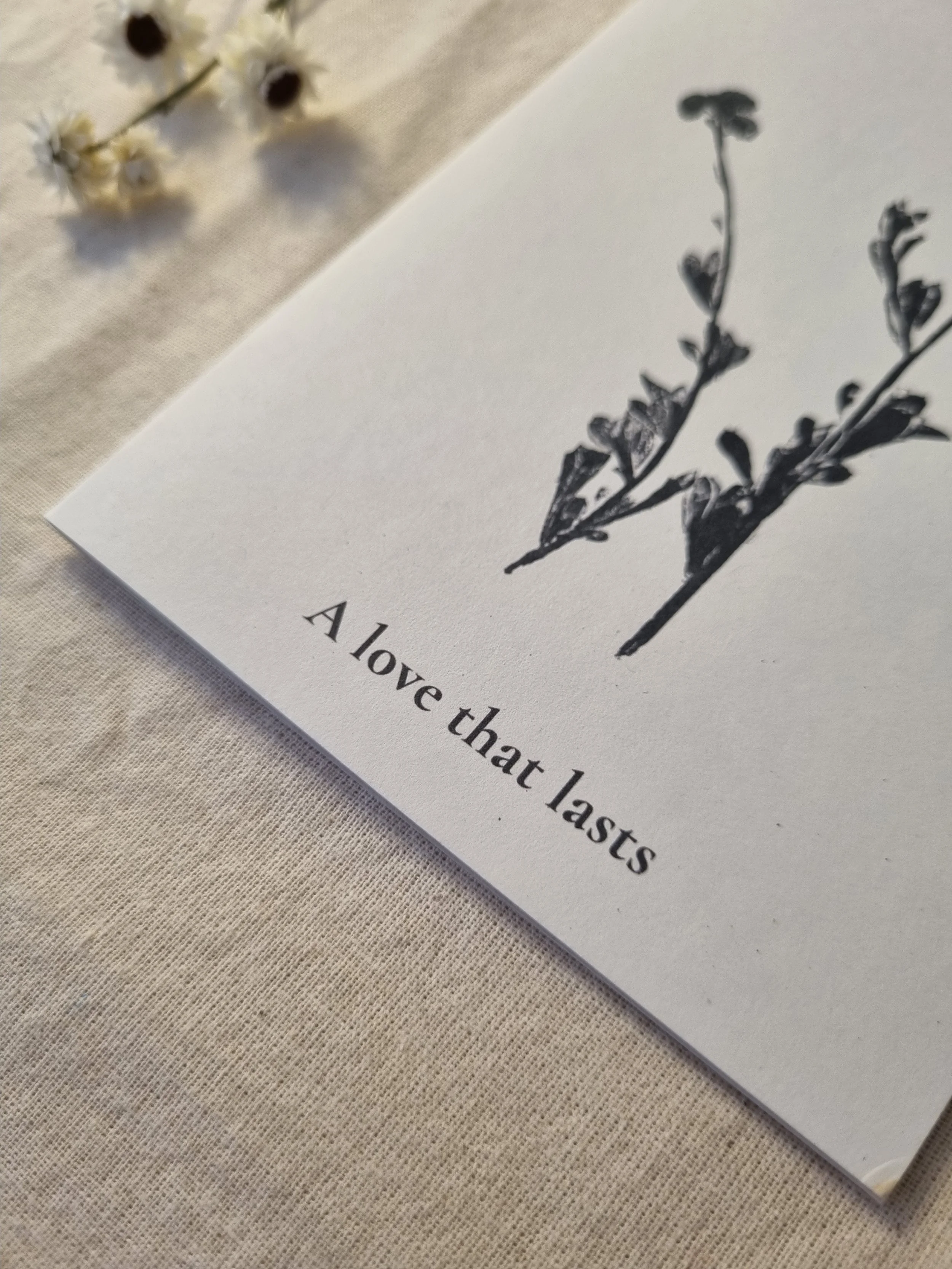 Botanical Card – Common Everlasting – “A Love That Lasts”