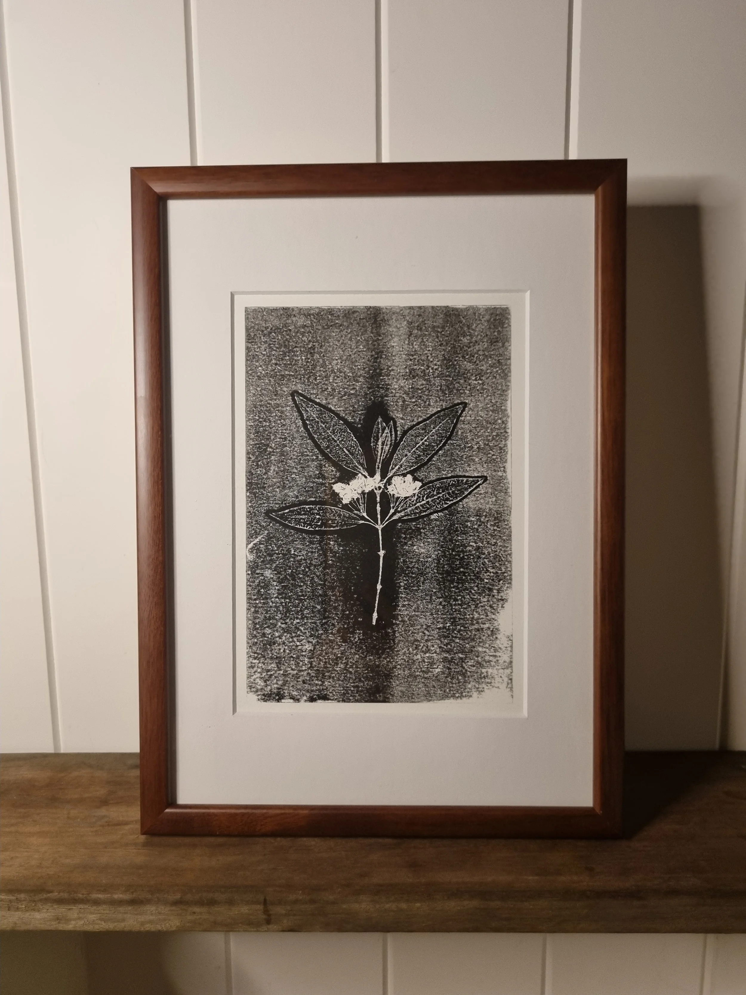 Lemon Myrtle 1, Ghost Print, Framed