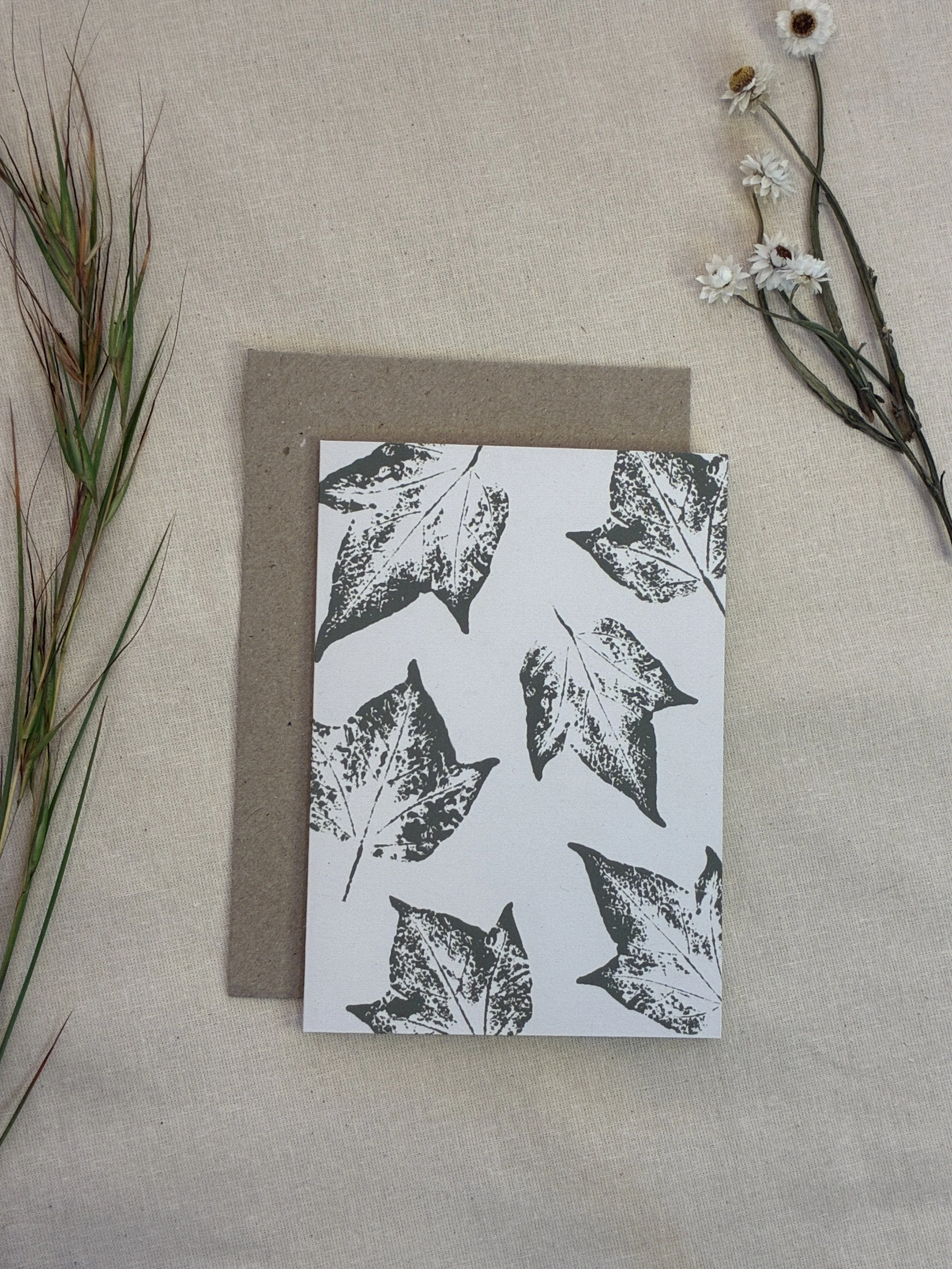 Queensland Lacebark Tree (Muted Green) — Botanical Greeting Card