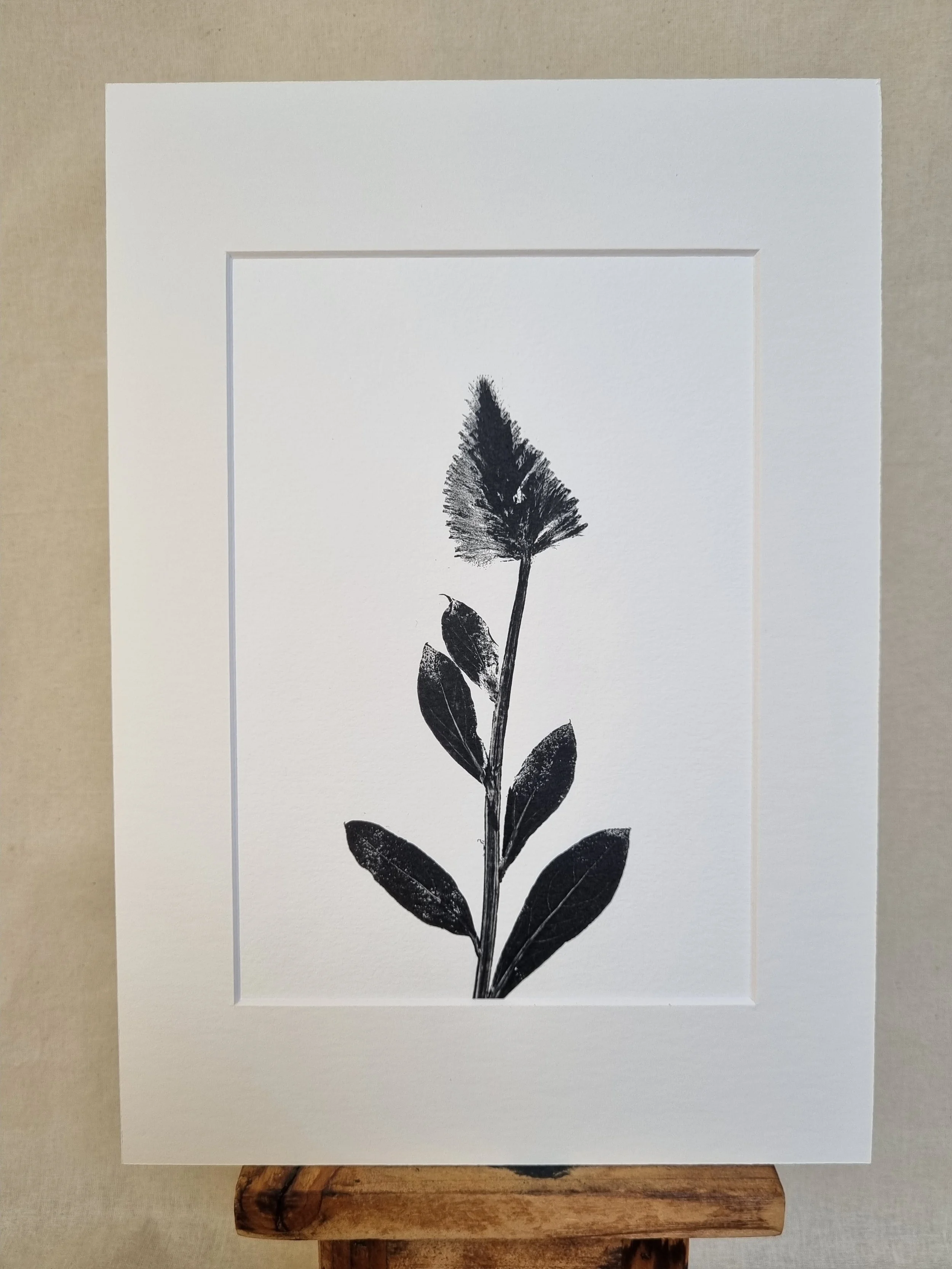 Mulla Mulla 1, Positive Print, Black